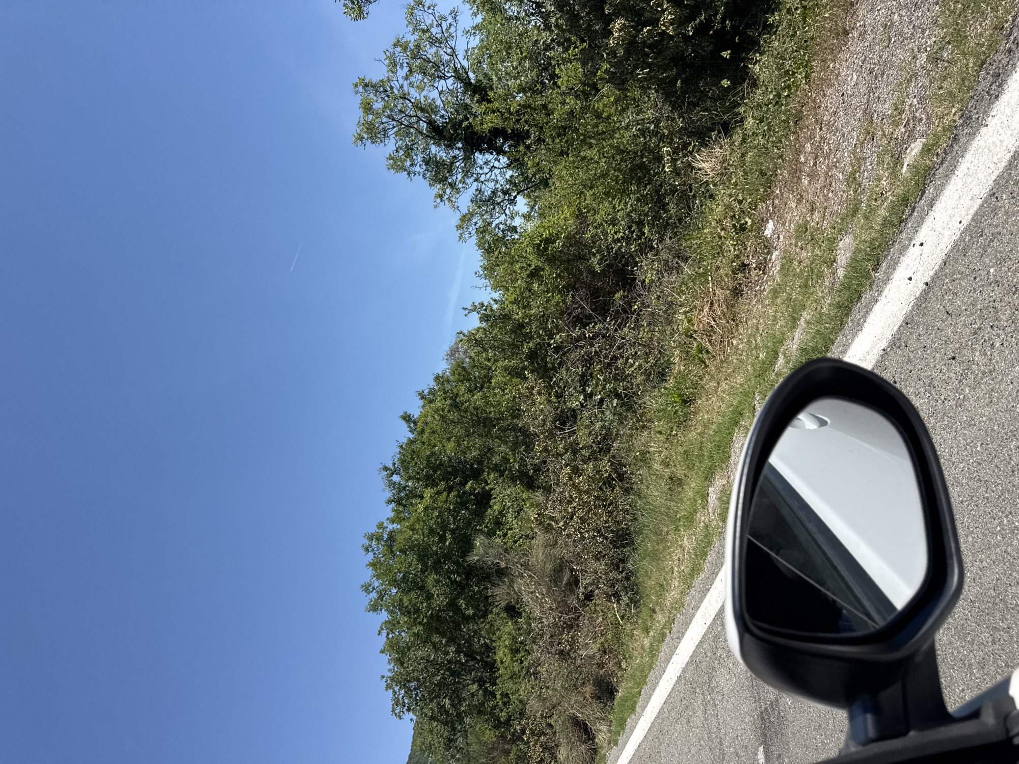 The image presents a view from inside a car traveling on a paved road, likely in a rural setting. The road is marked with a solid white line. To the right of the road is dense vegetation, consisting of trees, shrubs, and grass. The sky is clear blue with a contrail from an aircraft. A side mirror is visible, reflecting part of the car's body. The orientation of the image suggests a view from the driver's side of the vehicle, with the roadside vegetation in view. The location is Grabovica, Montenegro.