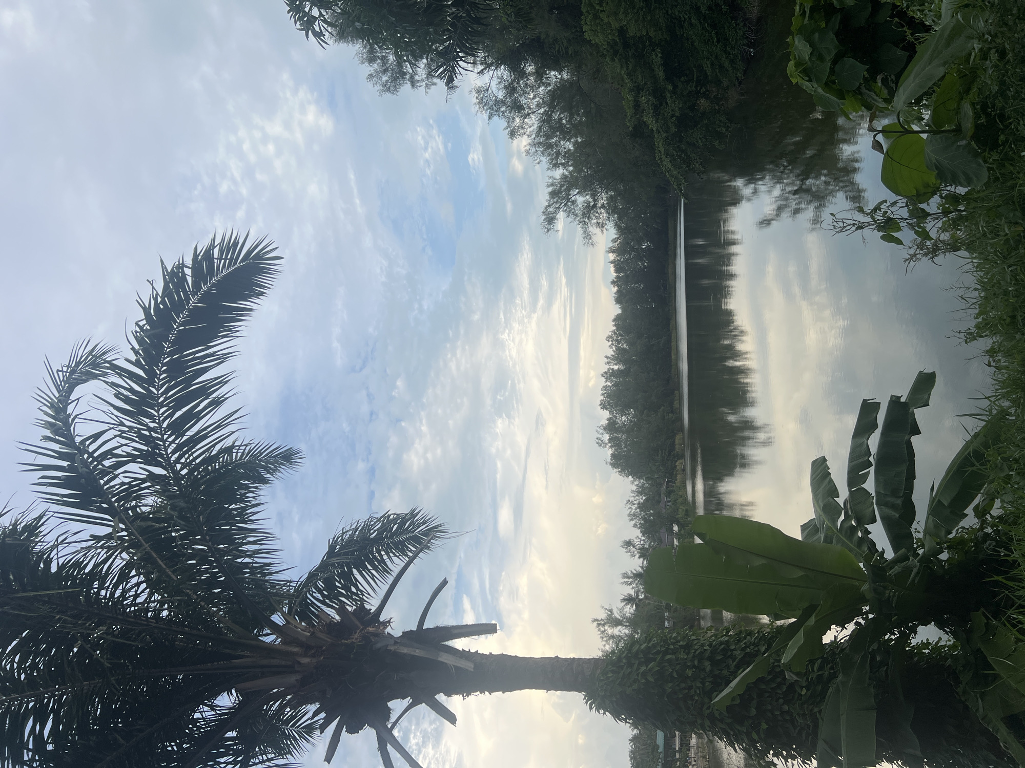 A tranquil water body is bordered by dense vegetation under a cloudy sky, with a prominent palm tree on the left foreground. The water reflects the sky and the surrounding trees, creating a peaceful atmosphere. The scene appears to be in the Ko Pha-ngan District of Thailand, characterized by tropical flora. No people are present in the image.