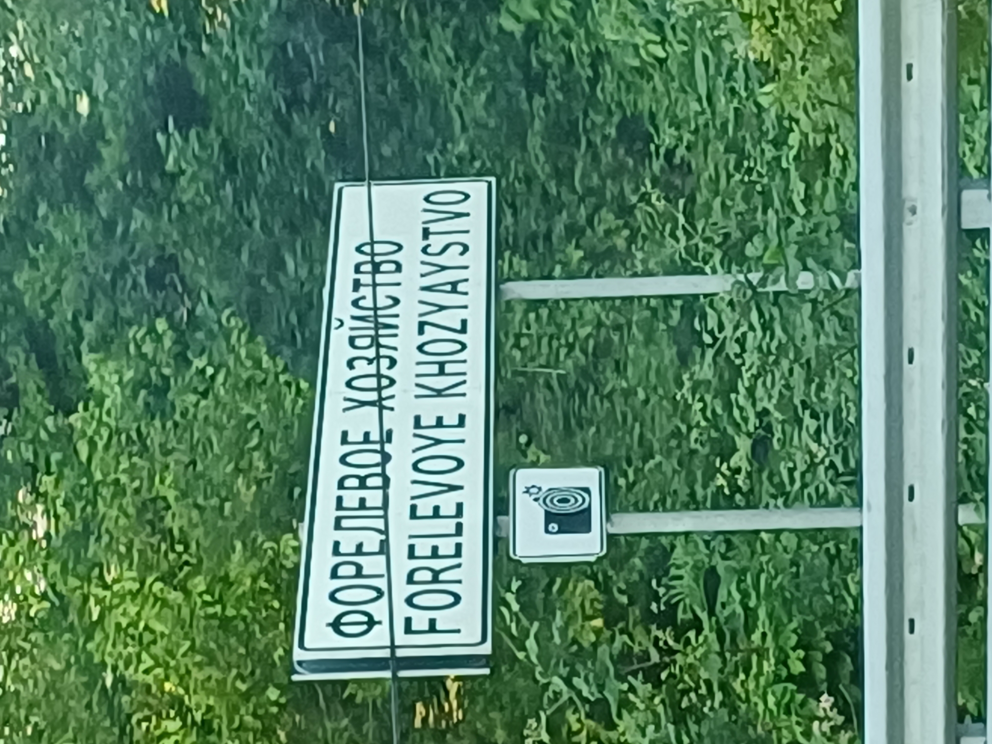 A sign in the city of Kazachiy Brod, Russia, indicates "Forelevoye Khozyaystvo" which translates to "Trout Farm". The sign has two lines of text; the top line is in Russian Cyrillic script, and the bottom line is in Latin script. Below the sign, there is a smaller square sign depicting a camera icon with a flash, suggesting that photography is permitted or that there is a surveillance camera present. The signs are mounted on a metal pole, and a white metal guardrail is visible in the foreground. The background consists of dense green foliage, likely trees and bushes, typical of a rural or natural setting.