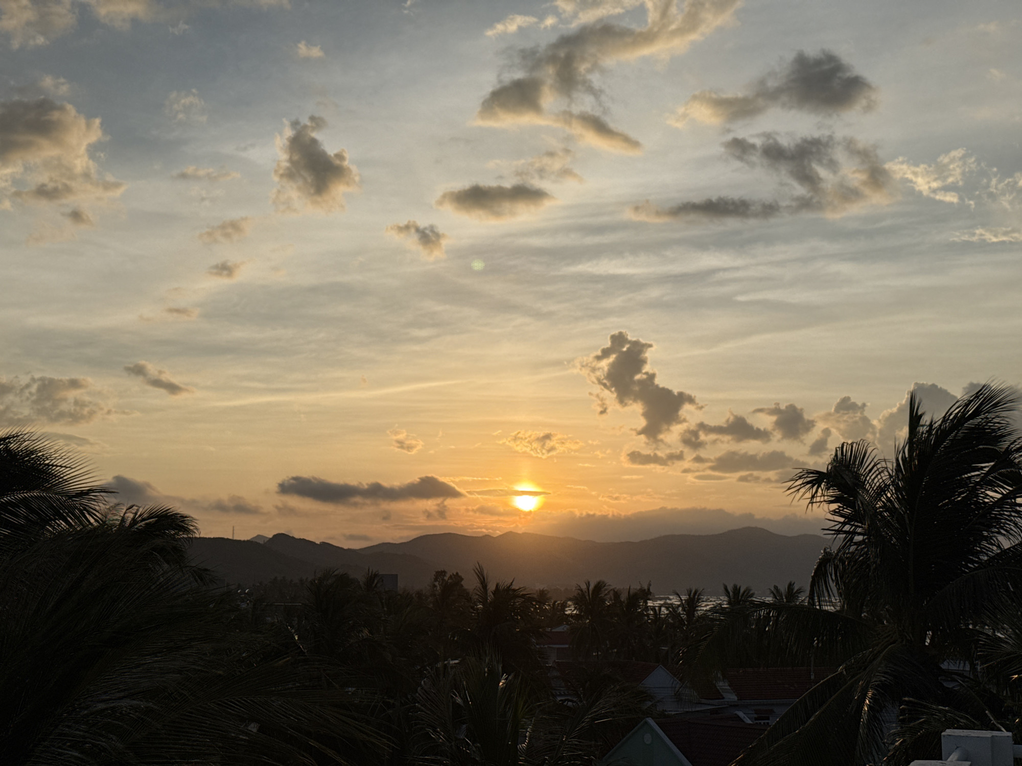 The image captures a sunset over the city of Song Cau, Vietnam. The sun, a bright orange orb, is low on the horizon, partially obscured by clouds and silhouetted mountains. The sky is a gradient of warm colors, transitioning from yellow and orange near the sun to a pale blue higher up. Scattered clouds, tinged with orange and gray, dot the sky.
In the foreground, the dark silhouettes of palm trees dominate the scene, their fronds creating a textured canopy. Beneath the palm trees, rooftops of houses are visible, some with red tiles and others painted white and green. The landscape behind the trees reveals rolling hills that rise to form a mountain range in the distance. A body of water, likely the sea or a bay, is visible between the palm trees and the mountains, reflecting the soft light of the sunset. The overall atmosphere is serene and tranquil, characteristic of a tropical evening.