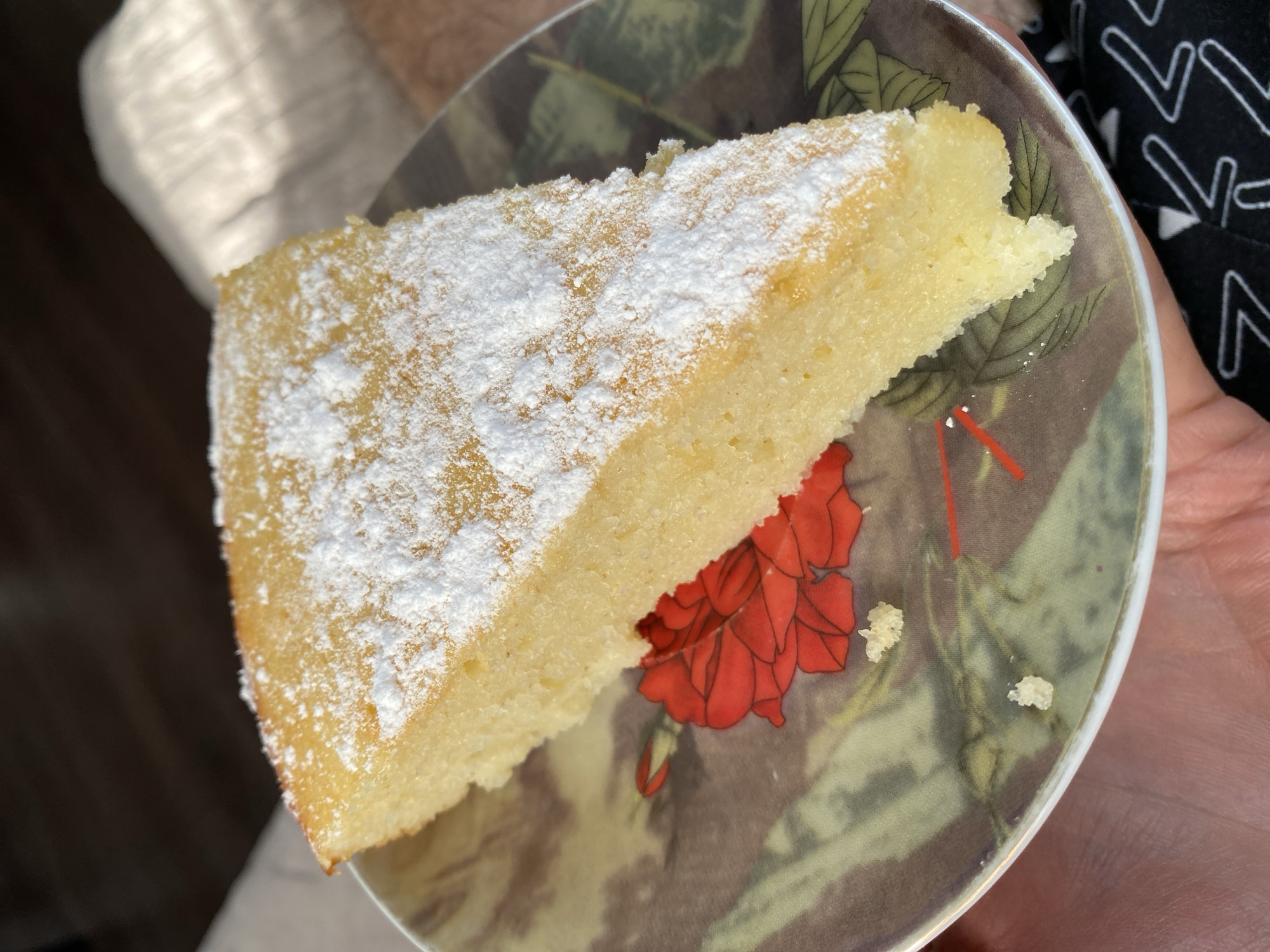 A slice of plain cake, dusted with powdered sugar, sits on a decorative plate. The cake is a pale yellow color and appears to be moist. The plate has a floral pattern with red roses and green leaves. Crumbs of the cake are scattered on the plate. The image is a close-up shot, and the background is blurred, suggesting an indoor setting. No specific location in Osinniki, Russia, can be identified from the image.