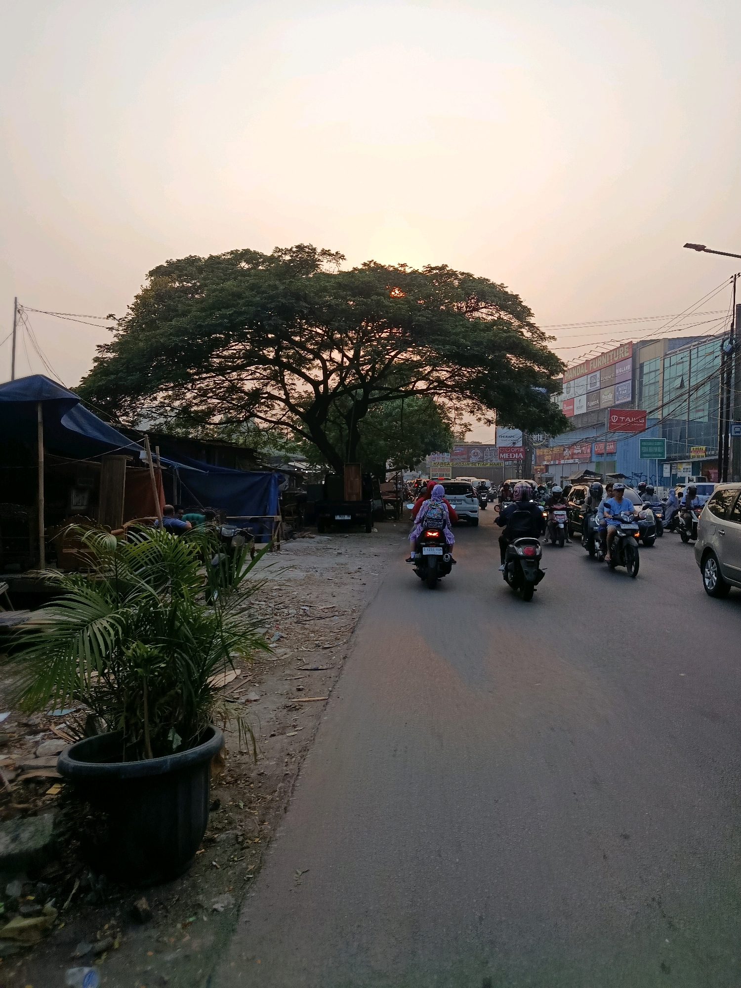This is a street scene in Bekasi, Indonesia, captured during what appears to be late afternoon or early evening, as indicated by the warm, hazy light of the setting sun. The road is paved and shows signs of traffic, with several motorcycles and a few cars present. The majority of the vehicles are motorcycles, with many riders and passengers visible, some wearing helmets.
On the left side of the road, there are temporary structures covered with blue tarps, suggesting a market or roadside vendors. A large, mature tree with a sprawling canopy dominates the mid-ground, its leaves silhouetted against the bright sky. In front of the tarp-covered structures, a potted plant with large, green fronds is visible, positioned near the edge of the road.
Further down the street, a multi-story building with glass windows and prominent signage can be seen. One sign appears to read "MANDAL FURNITURE," with smaller advertisements below it. The building suggests a commercial area. Power lines are strung across the scene, typical of urban environments. The ground beside the road is uneven, with a mix of dirt, gravel, and some scattered debris. The overall atmosphere is that of a busy, developing urban area.