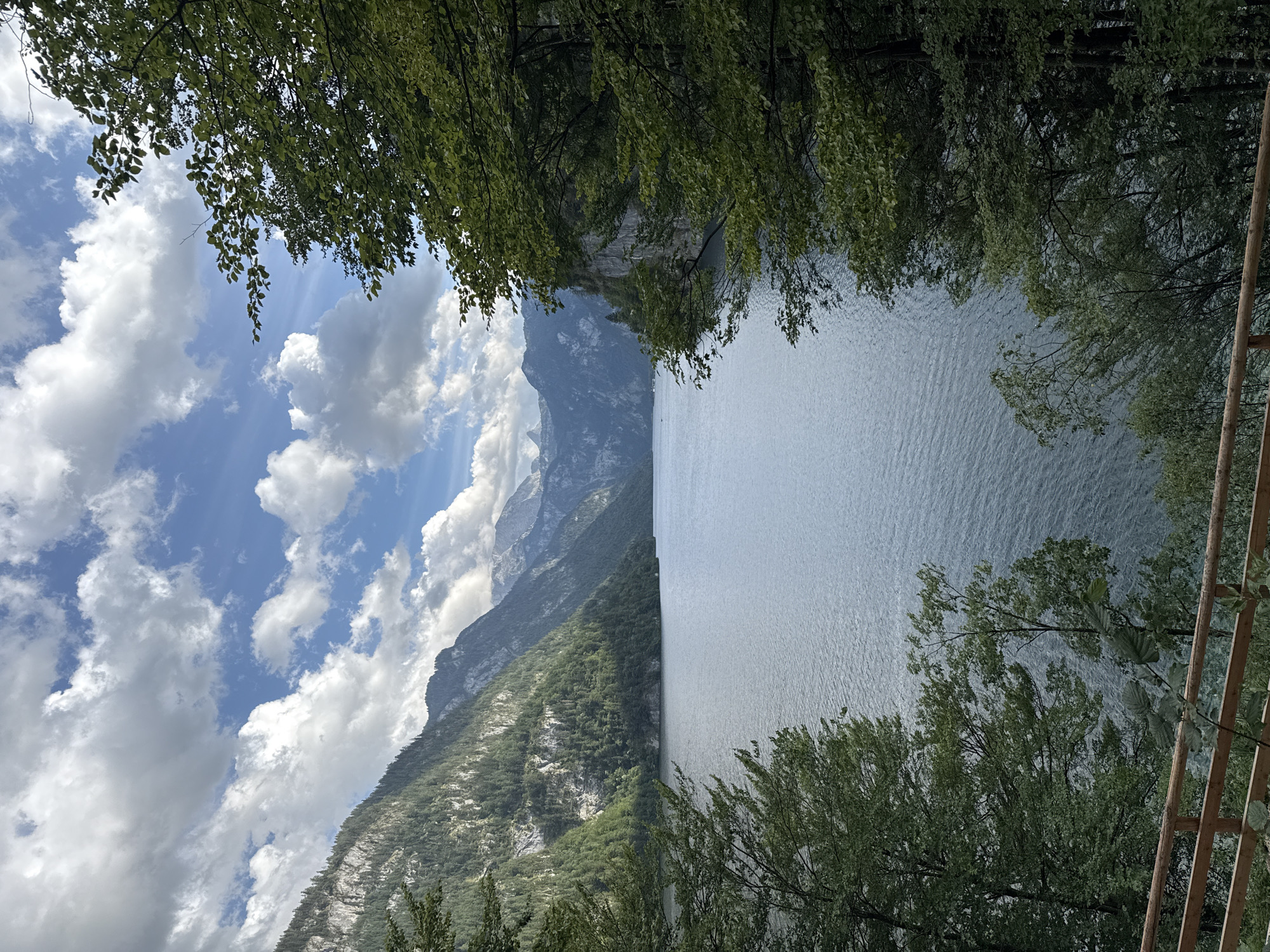 The image captures a scenic view of Königssee, a natural lake in Schönau am Königssee, Germany. The foreground features dense green foliage, with trees framing the view on the right and left sides. In the middle ground, the tranquil, blue-gray waters of Königssee stretch out, reflecting the sky. The background is dominated by towering, tree-covered mountains that rise dramatically from the lake's edge. The sky above is a mixture of bright blue with scattered white, puffy clouds. A wooden fence is visible in the lower portion of the image, suggesting a viewpoint or pathway. There are no people or animals visible in the scene. The overall impression is one of natural beauty and serenity.