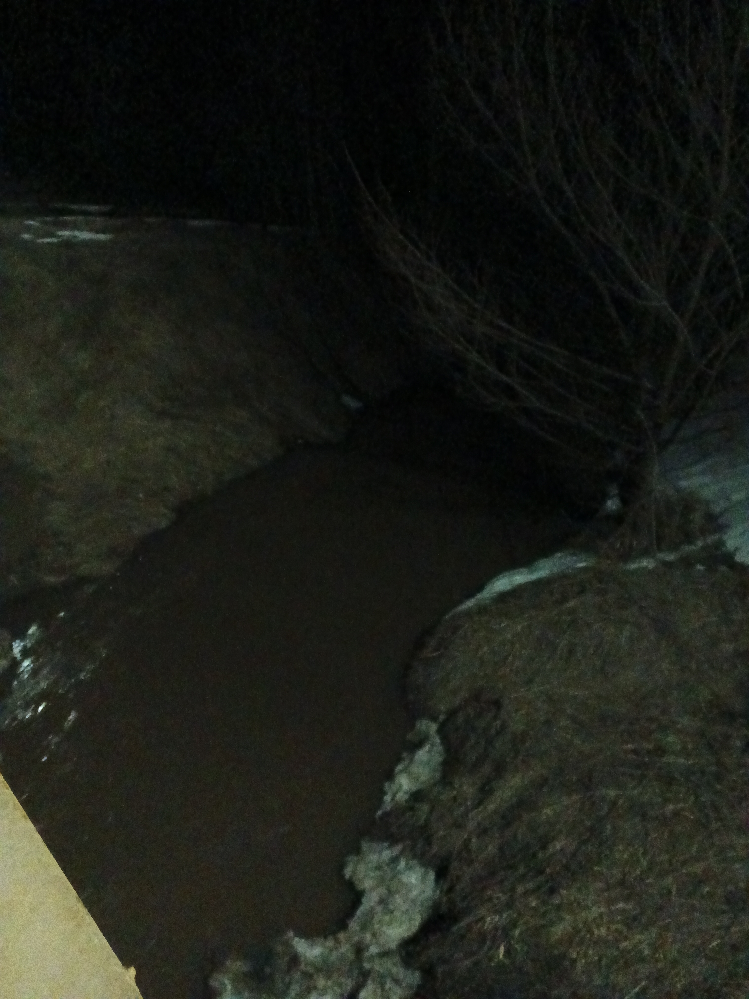 The image depicts a dark, possibly nighttime, scene in an area appearing to be a ditch or waterway with surrounding terrain. The location, Rusalevka, Russia, cannot be confirmed without further evidence from the image itself. The water is dark and reflects little light. The terrain is composed of dirt, grass, and patches of snow or ice. A bare tree or shrub is visible on the right side of the image. There is a limited indication of light in the distance beyond the waterway, suggesting a possible open area or field. No people are visible. The overall environment appears cold.