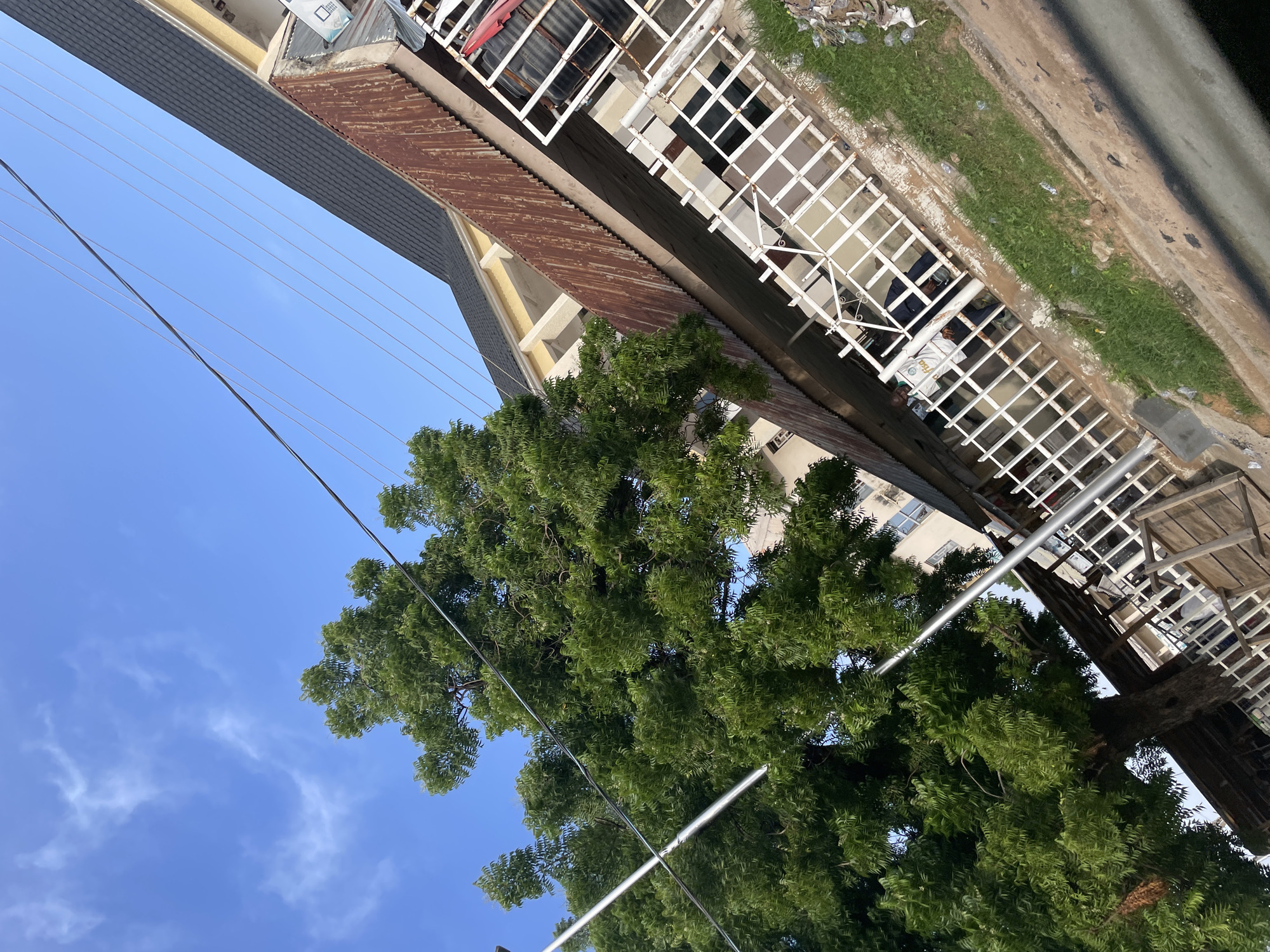The image shows a street scene in Jalingo, Nigeria. In the foreground, a lush green tree with dense foliage dominates the frame, its branches reaching towards the sky. Several power lines crisscross the blue sky above.
Behind the tree, there is a building with a corrugated metal roof that appears weathered and rusty, indicating age. The building has multiple stories, with windows visible on the upper floors. To the right of the corrugated roof, a white metal trellis structure is attached to the building, creating an open-air walkway or balcony. Through the trellis, glimpses of people can be seen inside, some appearing to be lounging or resting. One person is wearing a white garment with green lettering that appears to be text.
The ground level of the scene features a strip of green grass, interspersed with some scattered litter, suggesting it might be the edge of a road or pathway. The overall impression is that of a hot, sunny day in a tropical or subtropical climate, typical of Jalingo. The scene is likely a residential or commercial area with a mix of older and newer structures. There are no obvious signs of any specific event taking place, rather it appears to be a candid snapshot of everyday life.