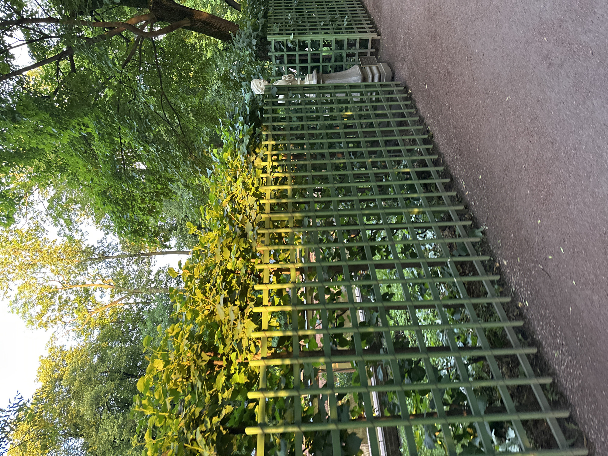 The image depicts a sunny day in a park with lush greenery and a pathway. A green lattice fence runs along the left side of the pathway, separating it from a garden with dense foliage. A white stone statue of a woman's bust is visible behind the fence, positioned on a pedestal. The pathway, made of reddish-brown gravel, curves to the right. The overall scene suggests a tranquil setting within a city park, possibly a formal garden. Given the presence of such sculptures and manicured gardens, this location could be within a historic park in Saint Petersburg, Russia, such as the Summer Garden.