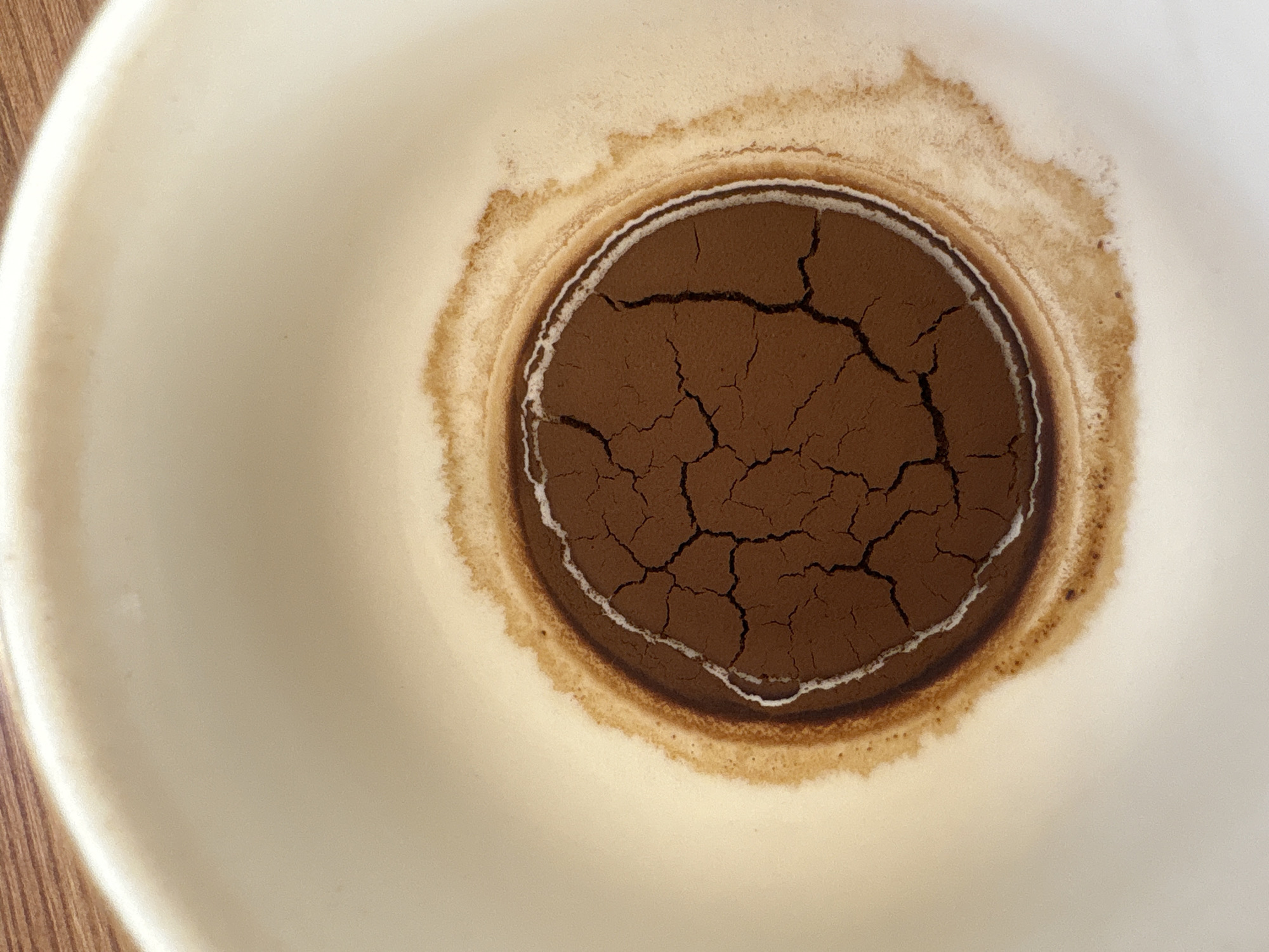 A close-up, top-down view of a white ceramic mug reveals a circular pattern of dried coffee grounds at the bottom. The coffee grounds are a deep brown and have cracked, forming a web-like texture. A thin, lighter-colored ring, possibly a residue from liquid, encircles the coffee grounds. The outer edge of the mug shows a gradient of light brown stains, indicating where the coffee or liquid once reached. The mug is placed on a surface with a visible wood grain texture. The image does not contain any people, animals, or any details that would allow for a location in Georgiyevsk, Russia to be determined.