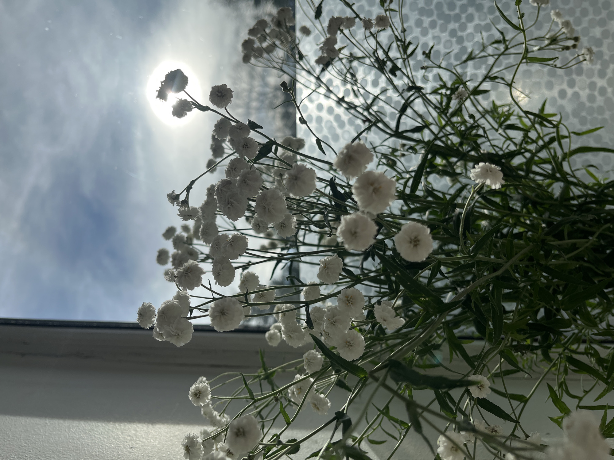 A bouquet of white baby's breath flowers is positioned in the foreground, their delicate blooms silhouetted against a bright window. The window displays a sky with scattered clouds and a radiant sun, its light diffusing through the glass. To the left, a textured wall with a distinct shadow is visible. The background features a frosted or textured windowpane, obscuring any specific view of the city of Paratunka, Russia. No people or animals are present in the scene, and no actions or interactions are depicted.