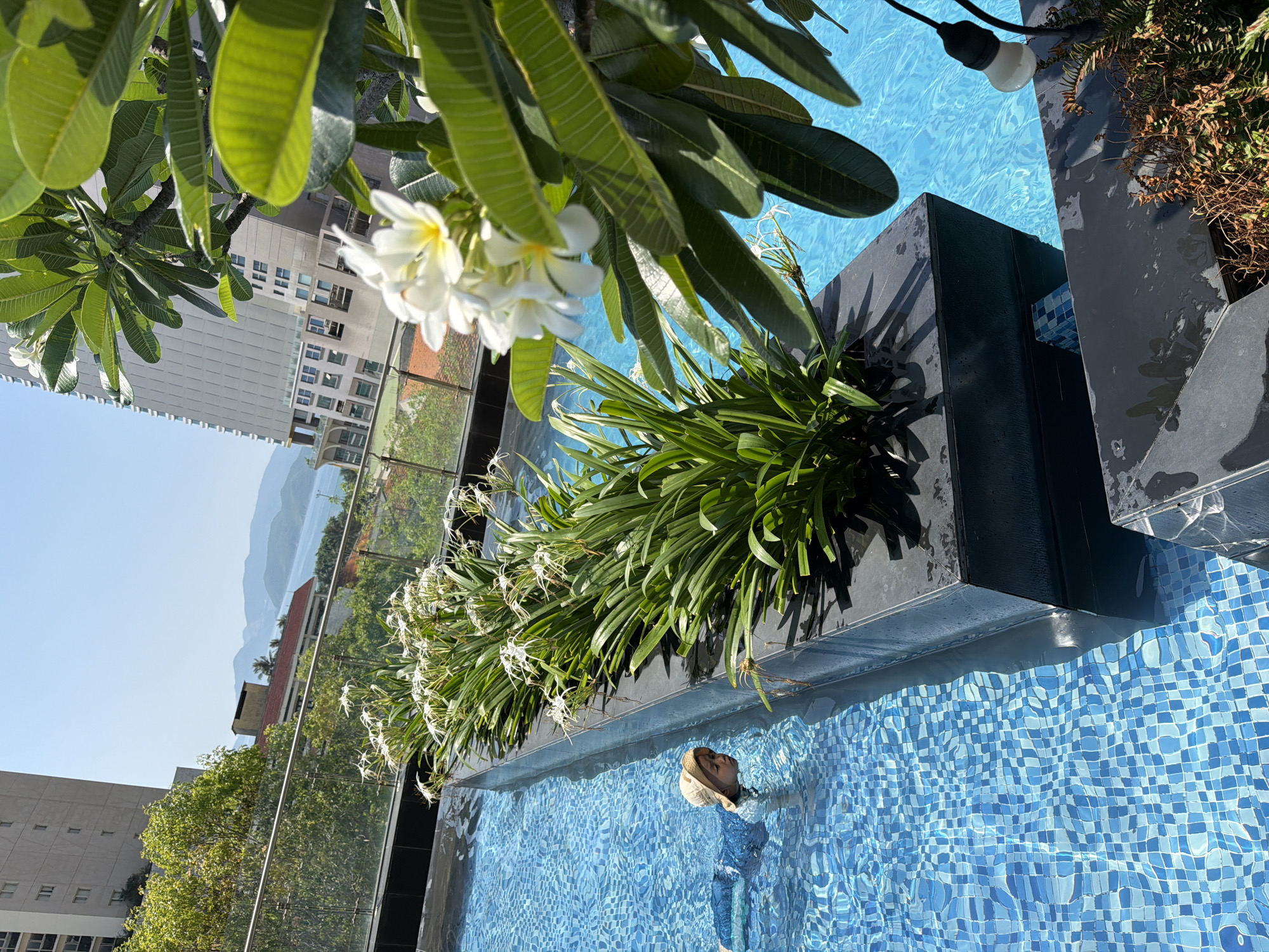 In Nha Trang Ward, Vietnam, a young child wearing a light-colored sun hat and a blue and white swimsuit is swimming in a clear blue swimming pool. The pool has a mosaic tile bottom. To the right of the pool is a rectangular planter filled with lush green plants and white flowers. In the background, tall modern buildings rise against a clear blue sky. The scene is set on a sunny day, with the light reflecting off the water and the buildings.