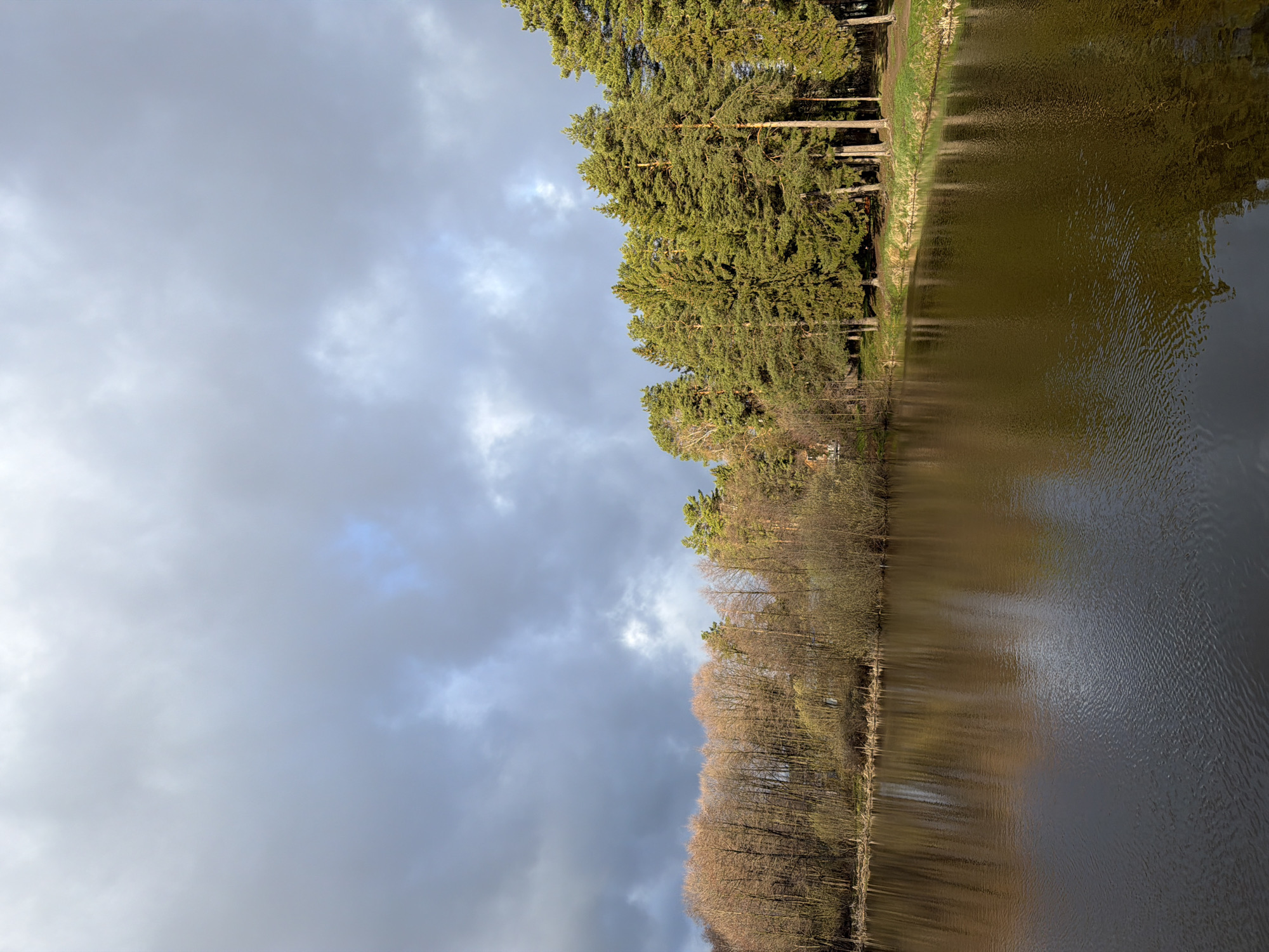 This landscape image depicts a tranquil natural scene featuring a body of water and a forested bank under a cloudy sky, likely captured during late winter or early spring.
The upper portion of the frame is dominated by a mostly overcast sky, filled with thick, grey clouds. There are hints of lighter, brighter areas within the cloud cover, suggesting either diffuse sunlight breaking through or reflections of a brighter patch elsewhere.
Along the far bank, a diverse line of trees stretches horizontally across the image. On the right side of the bank, there is a dense stand of coniferous trees, most likely pines, characterized by their vivid green needles and tall forms. Their lush appearance suggests they are thriving. Further along the bank to the left, the trees are deciduous, appearing mostly bare with intricate patterns of brown and grey branches, indicating they have not yet grown their leaves for the season. A thin strip of green grass or low vegetation is visible along the immediate edge of the bank where it meets the water.
The body of water, possibly a river or a lake, occupies a significant portion of the lower and middle frame. Its surface is covered with gentle ripples, which scatter the light and prevent clear, mirror-like reflections. The water itself appears dark and somewhat murky, reflecting the muted tones of the sky and the surrounding landscape.
The overall scene conveys a sense of peacefulness and natural beauty. The time of day appears to be daytime, with soft, diffused lighting. There are no people, animals, or visible text in the image. The setting suggests a remote or natural area within the vicinity of Chaikovsky, Russia.