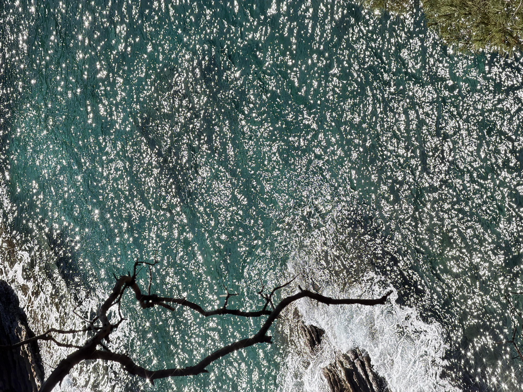 A high-angle shot reveals a section of the Adriatic Sea near Petrovac centar, Montenegro, with sunlight glinting off the water's surface, creating a sparkling effect. The water is a light turquoise color. Along the edges of the frame are rocky cliffs covered in some vegetation. A dead, bare tree branch is in the foreground. Waves are crashing against the rocks.