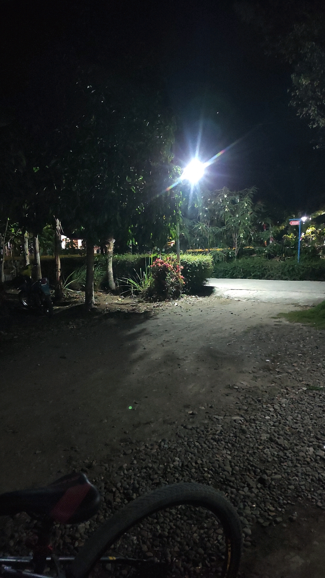 The image depicts an outdoor scene at night, illuminated by a bright street lamp. The foreground features the rear portion of a bicycle, showing its seat and tire. The ground is covered with gravel and dirt. In the mid-ground, a pathway or road is visible, lined with trees and dense foliage. Some of the trees are planted in a row, and there are also bushes and flowering plants. A motorcycle is parked near the trees on the left side of the image. In the background, more trees and a structure, possibly a building, are visible, along with another street lamp and a signpost. The location is identified as Tanjungan, Indonesia. The scene appears to be a park or a public area within the city, likely a street or pathway.