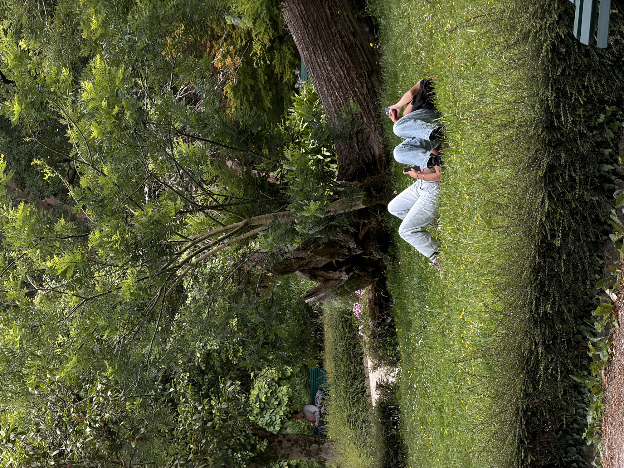 Two individuals are lying on their backs on a grassy slope in a park in Santiago de Compostela, Spain, with their heads resting on the ground. They are wearing light-colored jeans and their legs are raised. The person on the left is wearing a white top and holding a phone. The person on the right is wearing a black top and also holding a phone. A large fallen tree trunk lies behind them, its rough bark exposed. The park is lush and green, with dense foliage from trees and bushes surrounding the grassy area. In the background, a person is sitting on a green bench under a large tree, with a backpack next to them. The ground is covered in grass and scattered with small white and yellow wildflowers. A path curves through the park in the middle ground, and a low, dark green hedge runs along the bottom of the frame, with some leafy plants at the very bottom.