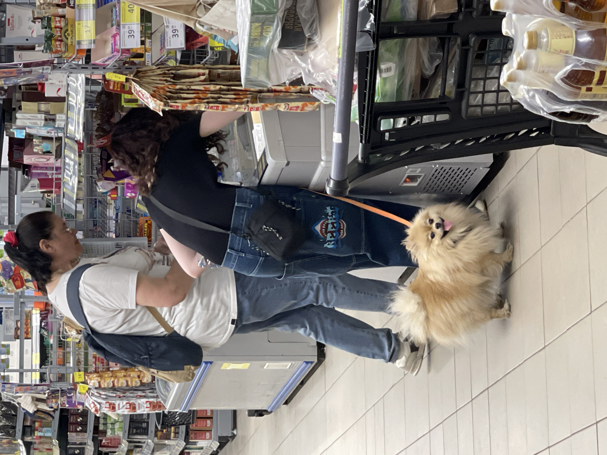In a Moscow supermarket, two individuals are observed interacting with a checkout counter. One person, wearing a white t-shirt and jeans, stands with their back to the camera, a backpack slung over their shoulder. The second person, dressed in a black top and distinctive jeans featuring a shark graphic, is bent over, seemingly attending to the counter. Between them, a small, fluffy Pomeranian dog on a leash is positioned on the tiled floor, its tongue sticking out. A shopping cart filled with goods, including bottled items, is also visible in the foreground. The environment is characterized by retail shelving stocked with various products, typical of a grocery store setting.