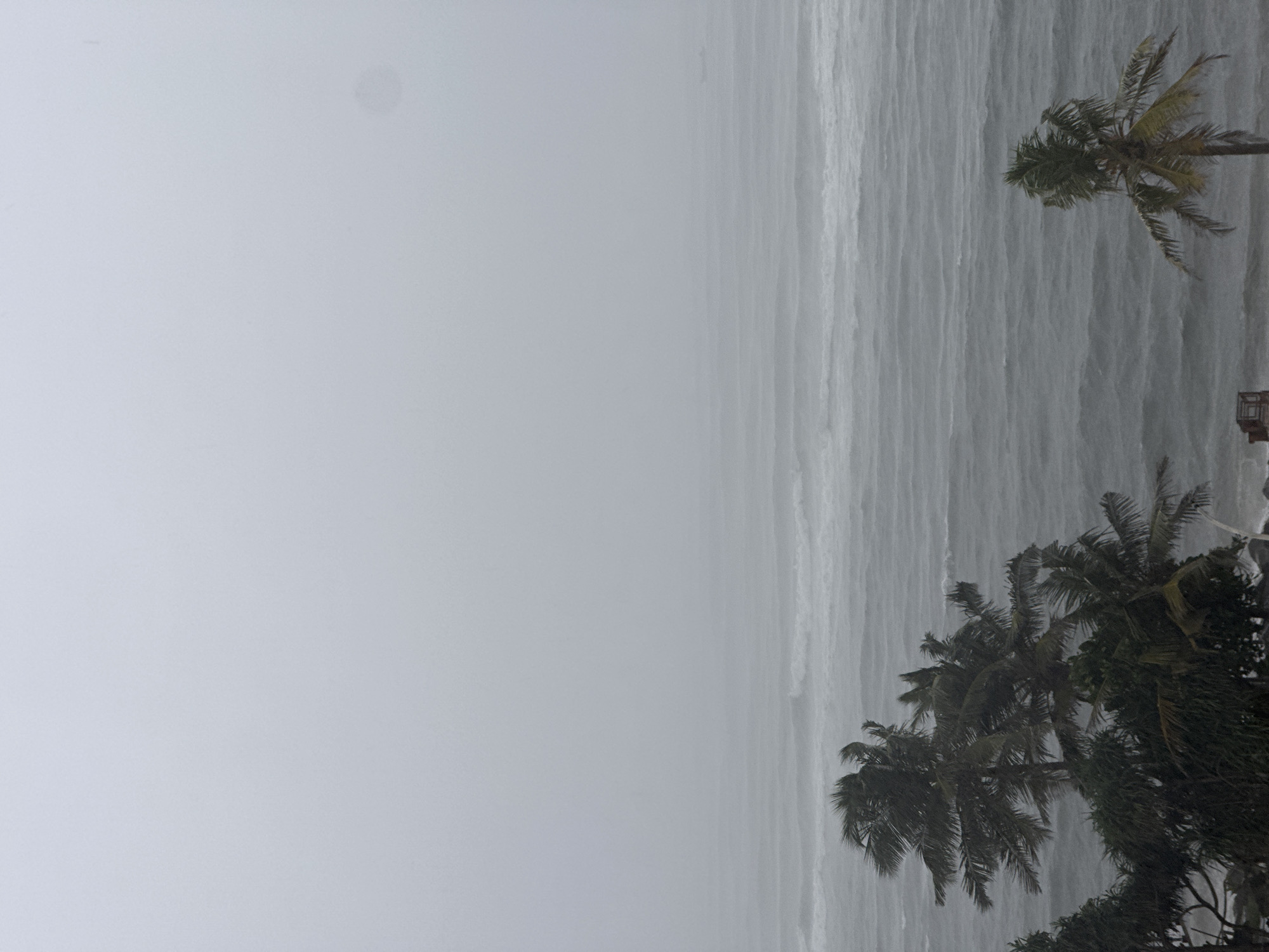 The image depicts a storm at the coast, possibly in Colombo, Sri Lanka. The ocean is rough, with visible waves and whitecaps. Heavy rain or mist obscures the horizon. Palm trees in the foreground are bent by the wind. One tree is located at the top right of the picture and the other is located at the bottom right. The sky is overcast and grey, creating a low visibility environment.