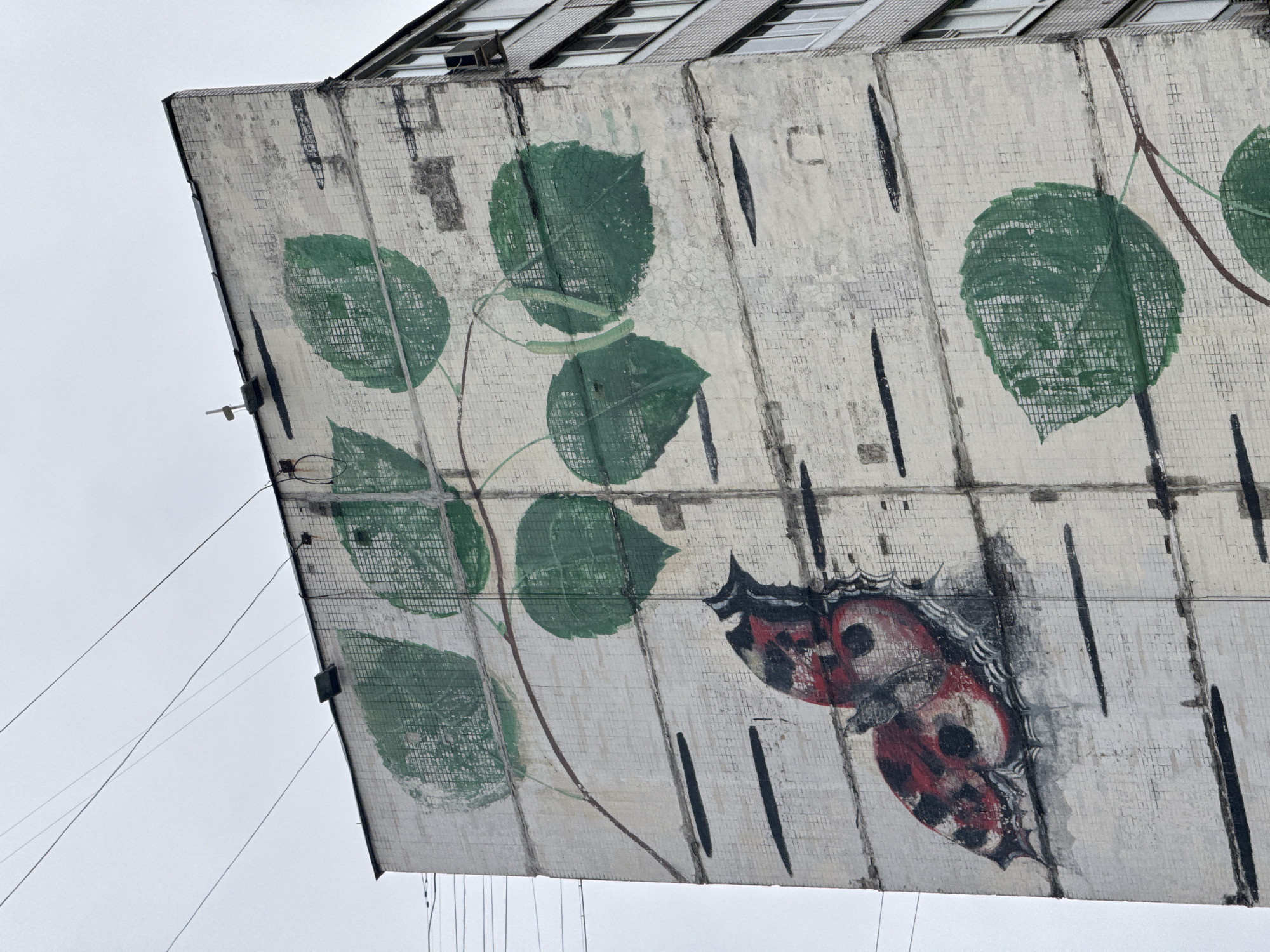 This image presents an upward view of the side of a large building in Moscow, Russia, featuring a prominent, weathered mosaic or mural against an overcast sky. The primary subjects are the building's facade and the large-scale artwork adorning it.
The artwork depicts several large, roundish green leaves connected by a thin, reddish-brown stem, resembling a vine or branch. The leaves are rendered in a simple, textured style, with the mosaic tiles of the building's surface visible through the paint. Below and to the right of the leaves, a striking red and black butterfly is painted, appearing stylized and showing signs of age and wear. Its wings are a deep red with intricate black markings, outlines, and lighter areas.
The building's surface is composed of small, light-colored, square tiles, creating a mosaic-like backdrop for the mural. Dark vertical and horizontal lines, possibly structural elements or previous markings, are integrated into the facade's design, some intersecting with the painted elements. The building's edge is sharply angled, leading up to a section with several windows featuring slatted coverings, suggesting an upper floor or rooftop structure.
The sky is a uniform, bright overcast grey, indicating cloudy weather and diffused daylight. Several thin, dark wires hang or stretch across the lower left portion of the frame, extending from or past the building. A small, dark rectangular device is attached to the building's side, near where some of the wires originate. There is no discernible text visible in the image. The scene captures a monumental yet aged piece of public art on an urban structure, characteristic of the region.