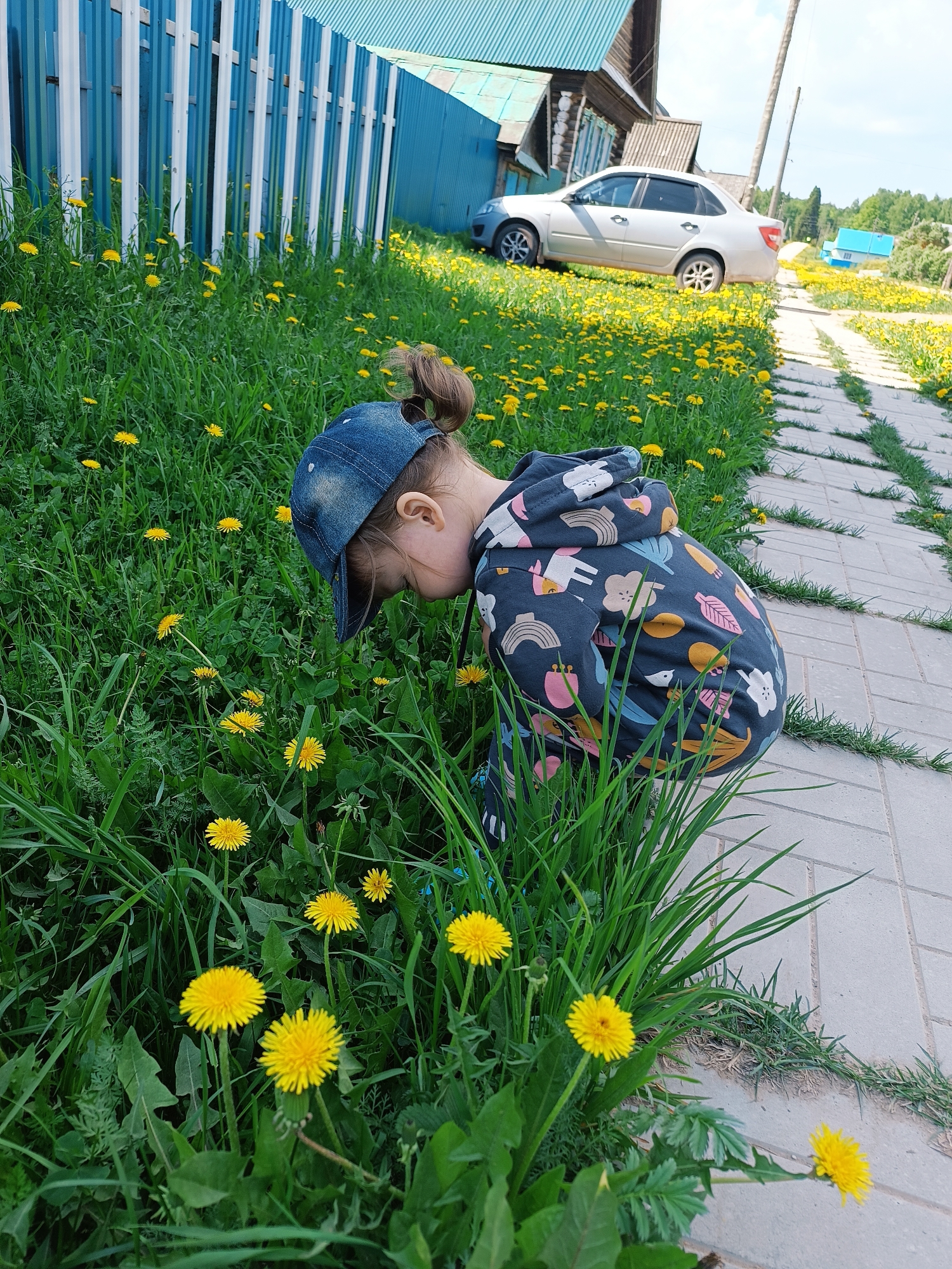 In Большие Ошворцы, Russia, a young child wearing a denim cap and a patterned hooded sweatshirt is bent over, seemingly observing or interacting with dandelions growing in tall grass next to a brick-paved pathway. The grass is filled with yellow dandelions. Behind the child is a blue and white fence, a silver car parked on a grassy area, a log cabin-style house, and a path leading toward distant buildings. The environment is lush with green vegetation.