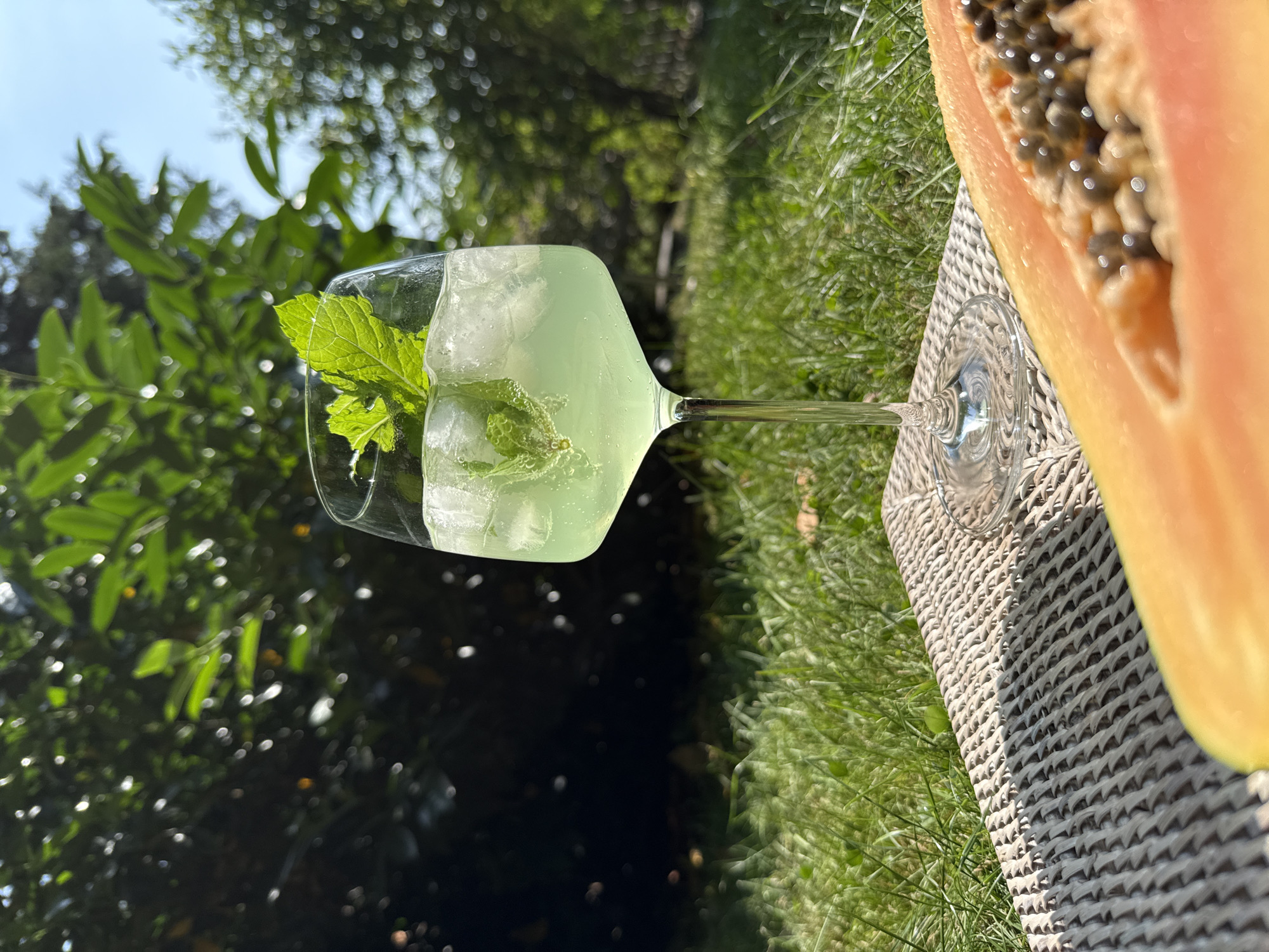 An outdoor, eye-level, close-up shot captures a refreshing, pale green beverage in a stemmed glass, filled with ice and garnished with fresh mint sprigs. The drink rests on a woven mat positioned on a lush, green lawn. In the foreground, a partially visible slice of ripe papaya, showing its dark seeds, adds a tropical element. The background is a blur of dark green foliage and dappled sunlight, suggesting a garden setting. The sky above is a clear blue. The scene is set in the city of Bad Sachsa, Germany, implied by the metadata. There are no people or animals visible.