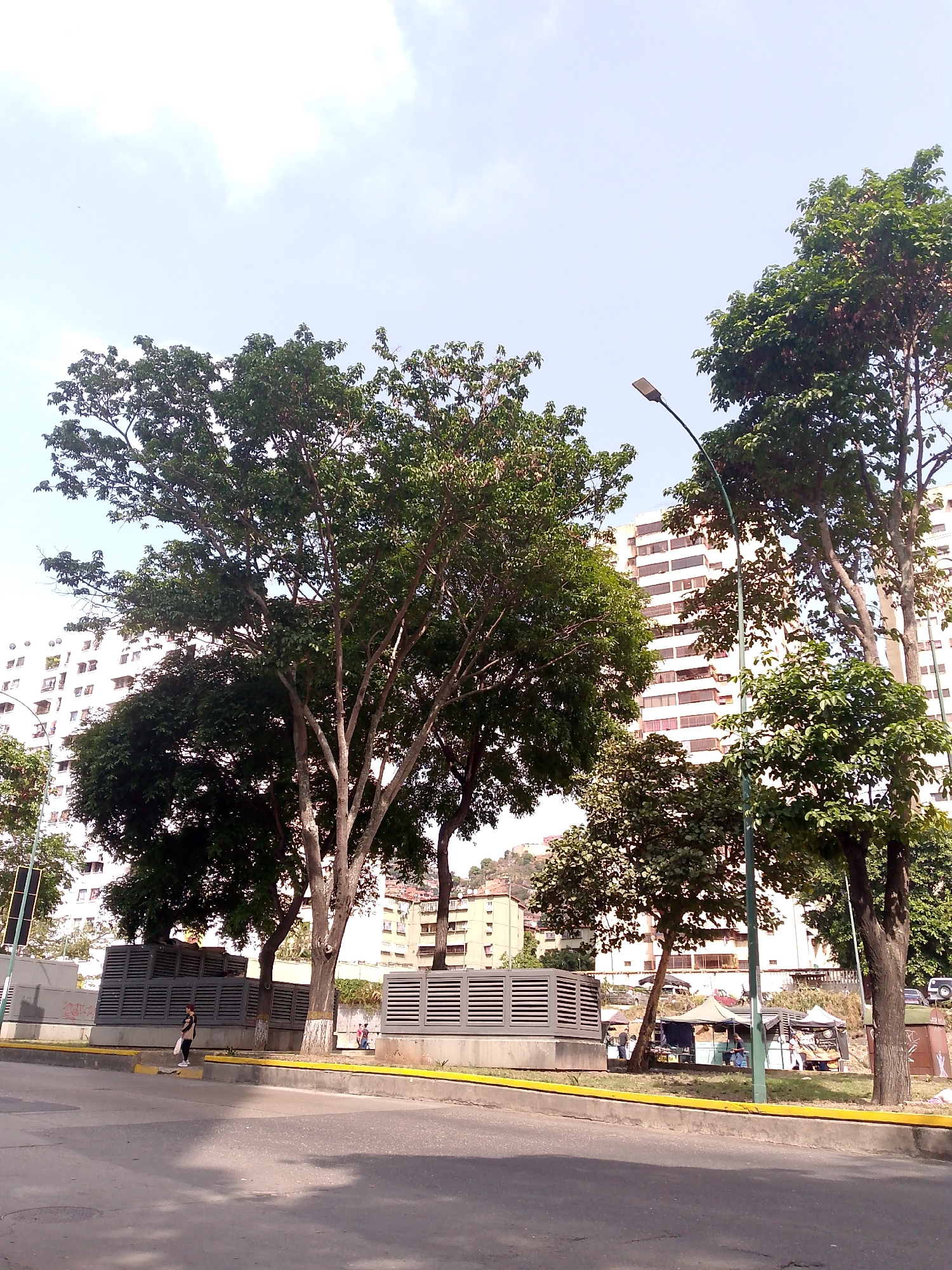 This image presents a daytime urban street scene in Caracas, Venezuela, characterized by a blend of natural foliage and residential architecture under a bright, partly cloudy sky.
In the foreground, an asphalt road with visible tire marks leads into the distance. It is bordered by a distinct yellow-painted curb and a concrete sidewalk area. Several large, mature trees with lush green canopies dominate the midground, their strong trunks rising from the ground and casting shadows.
Along the sidewalk, several large, gray, louvered utility structures are visible, some arranged in a row. To the left, a person carrying a bag walks on the sidewalk next to these structures. Further to the right, beneath the shade of the trees and behind additional utility structures, a small, informal market is set up with multiple makeshift stalls covered by canopies. Several people are gathered around these stalls, indicating ongoing commercial activity or browsing.
Tall, multi-story residential buildings, primarily white or light-colored with numerous windows and balconies, are visible in the background, peeking through and above the tree line. A hillside with more buildings can be seen in the far background on the left. A prominent green streetlight pole with a modern lamp fixture stands on the right side of the image, reaching towards the bright sky.
The strong sunlight suggests it is late morning or early afternoon, with clear weather. No readable text or specific signs are discernible within the frame. The scene depicts a typical daily urban environment, combining residential life, street-level commerce, and abundant greenery.