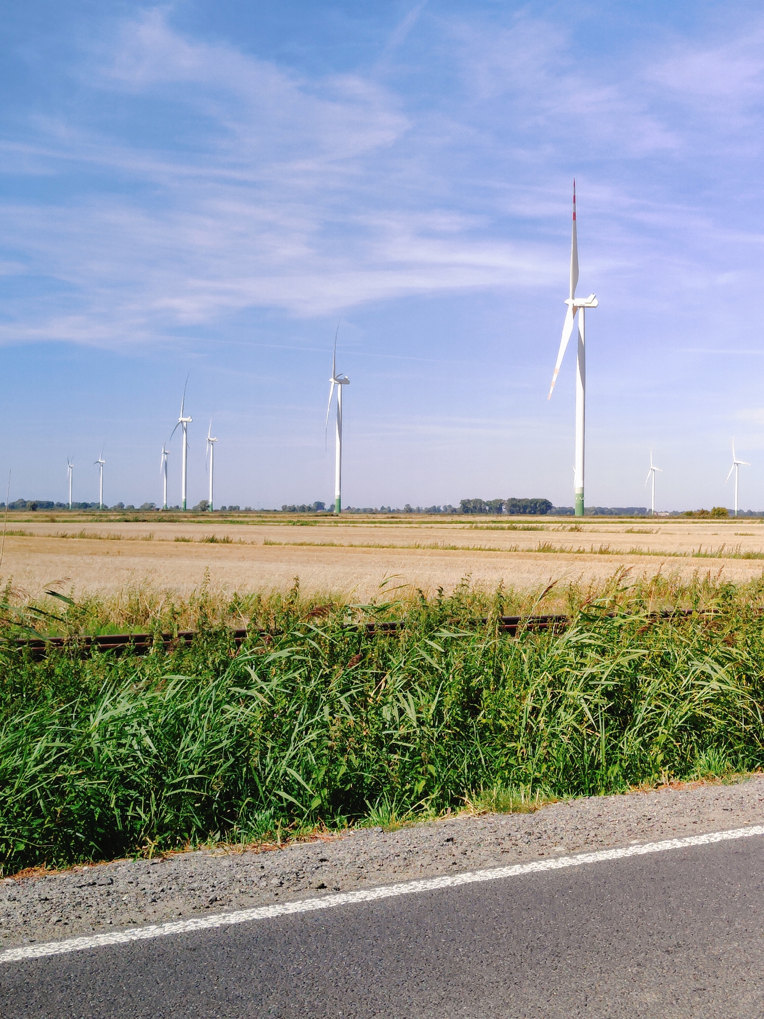 The image depicts a rural landscape with a wind farm under a clear blue sky with scattered clouds. In the foreground, a road runs along the bottom right, with a white line marking its edge. To the left of the road, tall green grass and reeds grow, partially obscuring a weathered metal structure that appears to be railway tracks. Beyond the vegetation and tracks is a field of dry, golden crops, likely harvested wheat or barley. A line of several white wind turbines with green bases stretches across the horizon, with one turbine prominent on the right side of the image, its blades extending upwards. The background shows a line of trees, and the overall scene suggests an open, agricultural area. The location is identified as Żelichowo, Poland, implying this is a view of the local countryside. There are no people or animals visible in the image.