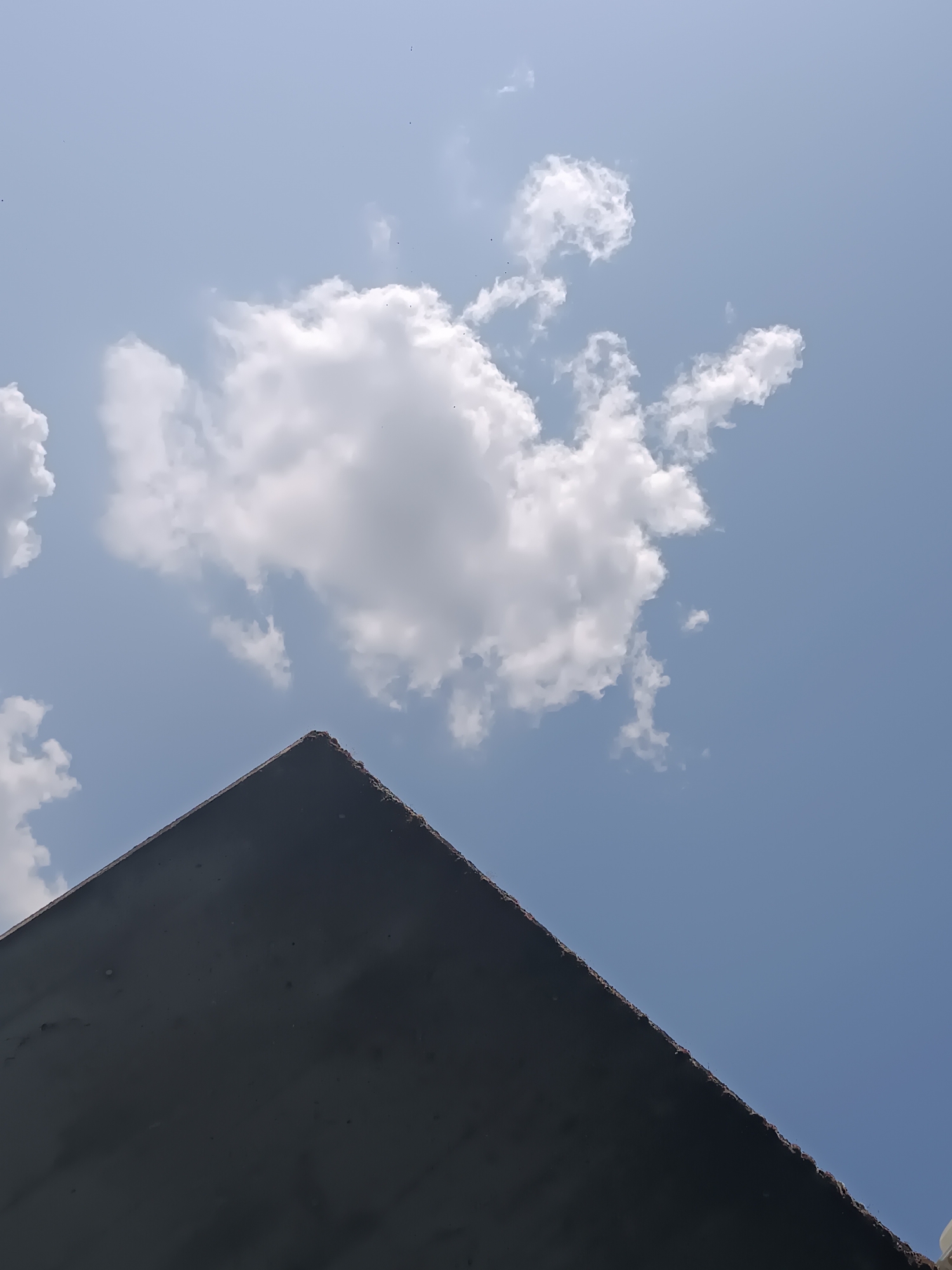 The image captures a close-up, low-angle view of the sharp, dark edge of a flat rooftop against a pale blue sky filled with scattered white clouds. The rooftop's edge appears weathered and slightly uneven. Tiny specks, likely birds or insects, are visible in the sky. The composition emphasizes the geometric line of the roof against the organic shapes of the clouds. No people or specific city landmarks of Casalmaggiore, Italy, are discernible in this image.