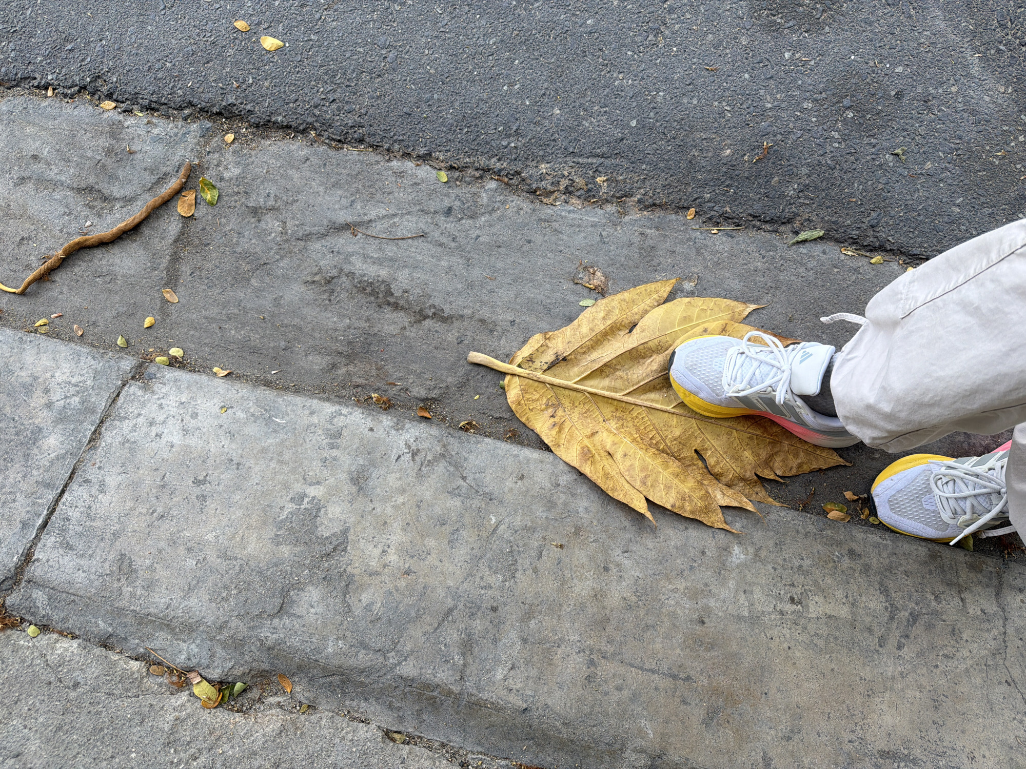 In Nam Nha Trang Ward, Vietnam, a low-angle shot captures a person's feet and a large, yellowed leaf on a textured surface that appears to be a sidewalk or paved area. The ground is divided into two distinct textures: one side is rough, grey concrete, possibly with visible cracks and debris including small green and brown leaves. The other side is a darker, asphalt-like material, also showing some scattered leaves and a thin, brown, twig-like object. The person is wearing white and grey athletic shoes with bright yellow accents on the soles and toe box. They are also wearing light-colored, loose-fitting pants. One foot is positioned on top of the large leaf, which lies on the grey concrete. The other foot is slightly behind and to the left. The lighting suggests an outdoor, daytime scene.