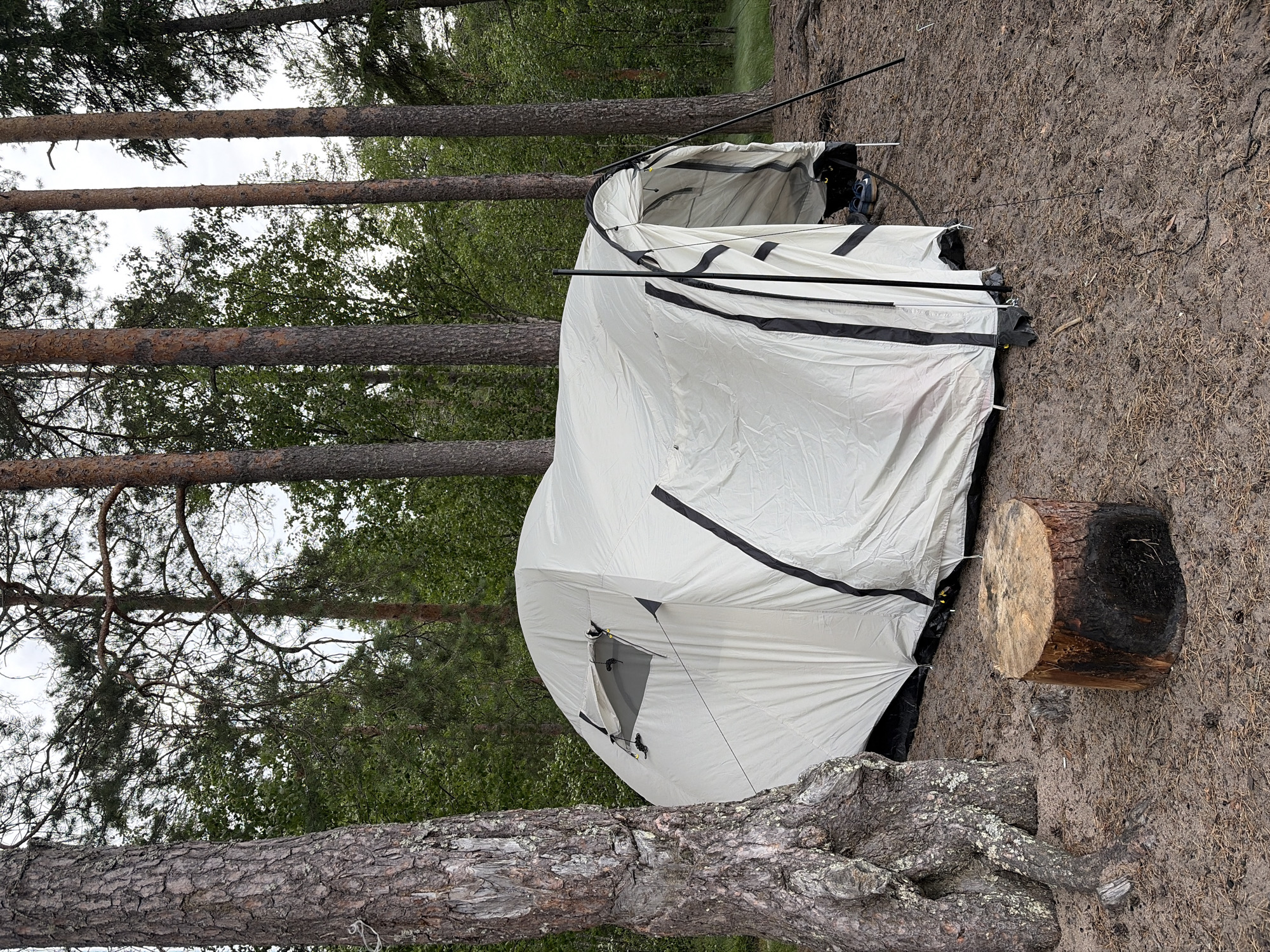 A light-colored, dome-shaped tent is set up in a pine forest in Vaskelovo, Russia. The tent is positioned on a sandy, pine needle-covered ground, with several tall pine trees surrounding it. A thick, gnarled pine tree trunk is visible to the left of the tent, and a wooden log, appearing to be a makeshift stool, sits in front of the tent. The entrance of the tent is open, revealing the dark interior. Black piping accentuates the tent's structure and entrances. The sky is overcast.