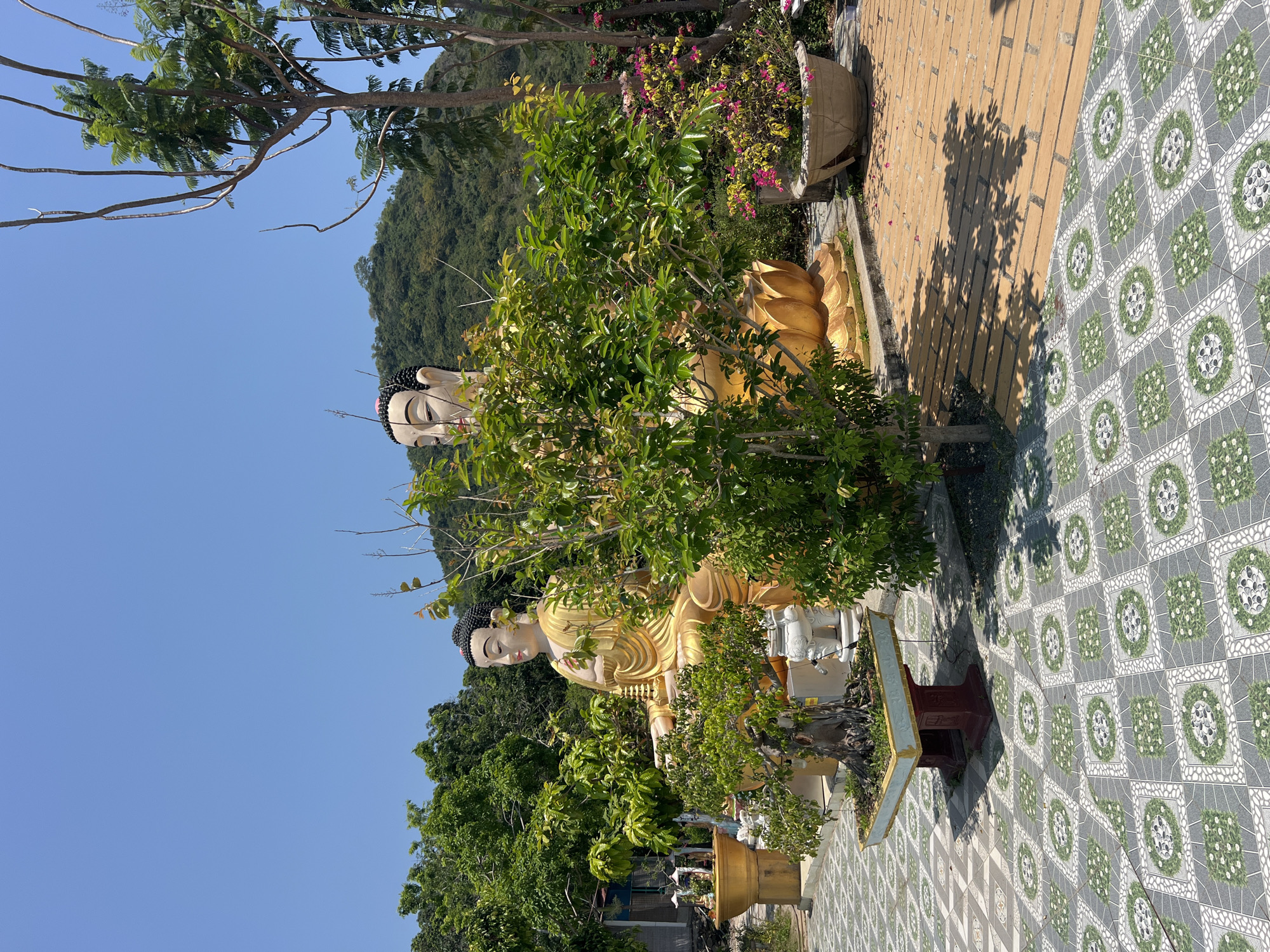 The image depicts a row of reclining Buddha statues in Bắc Nha Trang, Vietnam. The statues are golden and are partially obscured by trees and foliage. The background features a clear blue sky and a lush green hill. The statues are set on a paved area with a decorative tile pattern. A section of yellow brick pavement is also visible. There are trees and flowers nearby.