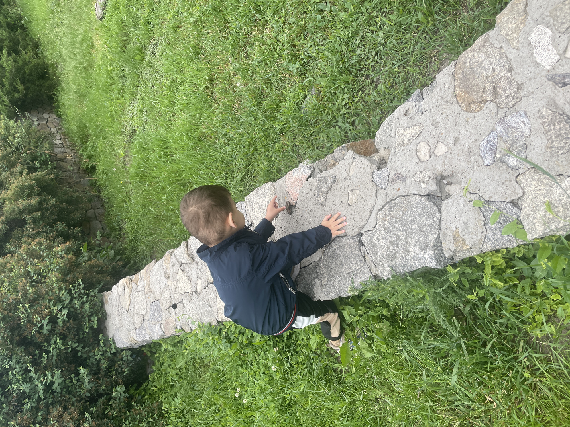 An overhead shot shows a toddler boy in a dark blue jacket and black and white pants crouching on a stone wall. He is reaching down with his right hand to touch a small, brown frog on the stone. The wall is made of rough-hewn, light gray stones of various sizes, cemented together. To the left of the wall is lush green grass with some small white flowers. To the right of the wall is a large expanse of green grass with scattered patches of darker clover. In the background, a dense green bush is visible to the left, and more green grass continues into the distance. The lighting is natural and appears to be overcast.
