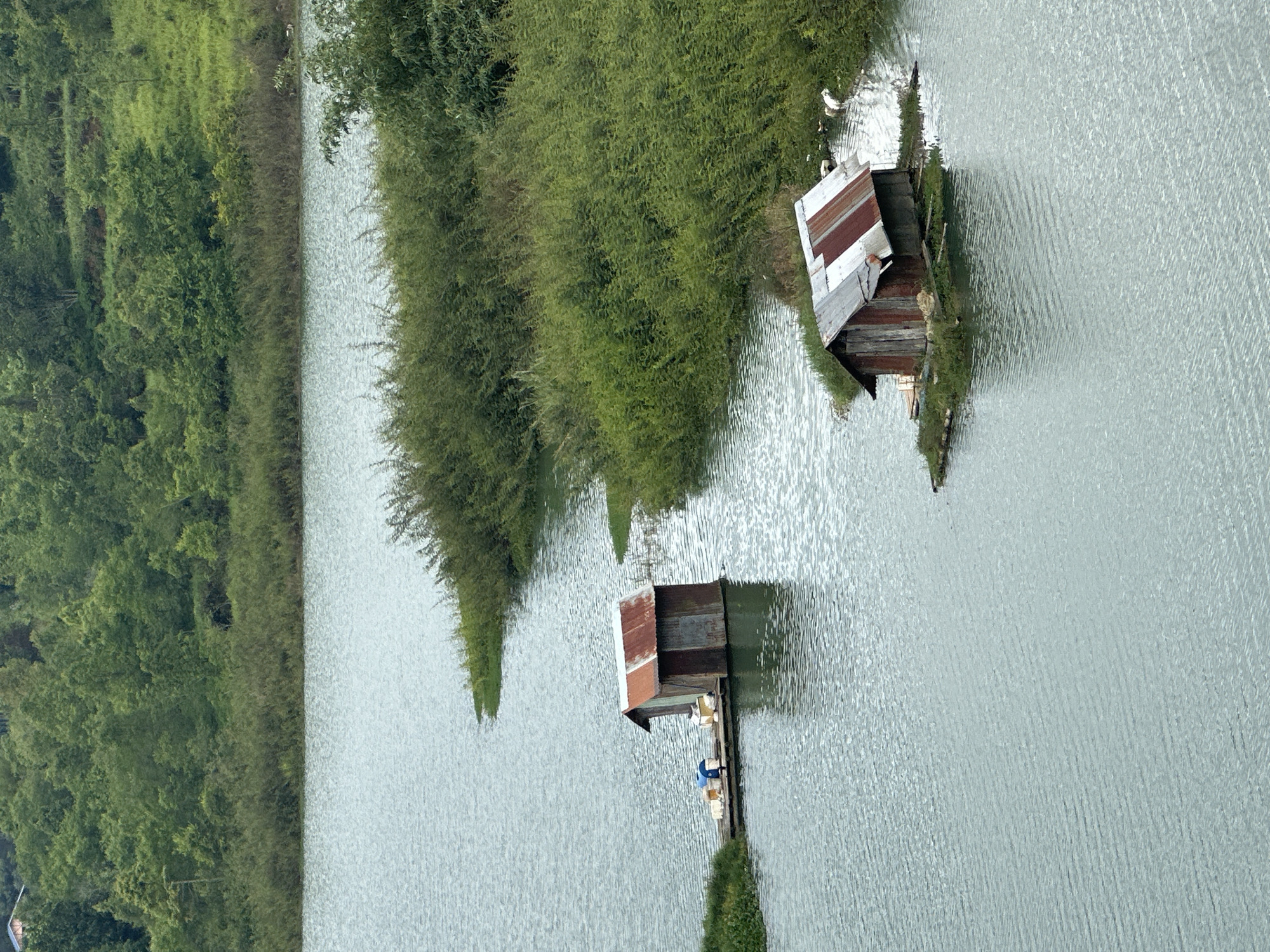 The scene depicts a waterway, likely a river or canal, with dense green vegetation lining its left bank. Two small, dilapidated wooden structures with rusted metal roofs stand on the water's edge, seemingly partially submerged. The water is calm with subtle ripples.
The location is Da Lat, Vietnam. One of the structures has two people on its small boardwalk, one is wearing a blue jacket.