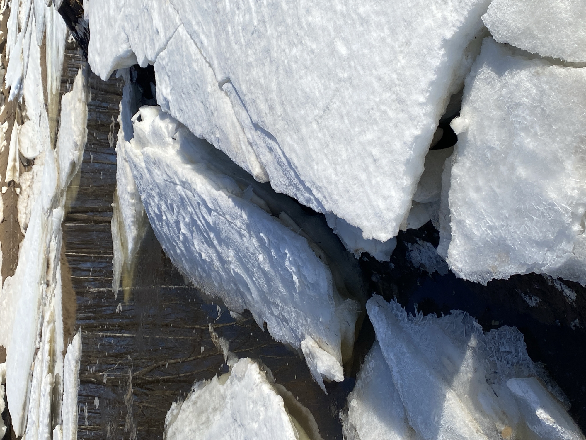 The image shows a close-up view of ice floes on a body of water. The ice appears thick and fractured, with varying textures and shades of white. Dark water is visible between the ice fragments, reflecting the branches. The location is identified as Ol'khovskoye, Russia. No people or animals are visible in the scene. The only action visible is the movement of water.