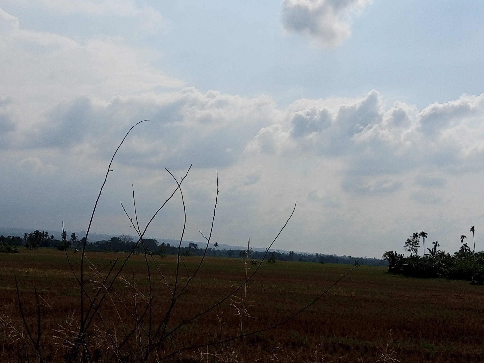 The image shows a landscape in Lhokseumawe, Indonesia. In the foreground are dry, brown fields with bare twigs. The background reveals a horizon line of trees and foliage. The sky is overcast with white and gray clouds, and patches of blue sky are visible. There are no people visible.