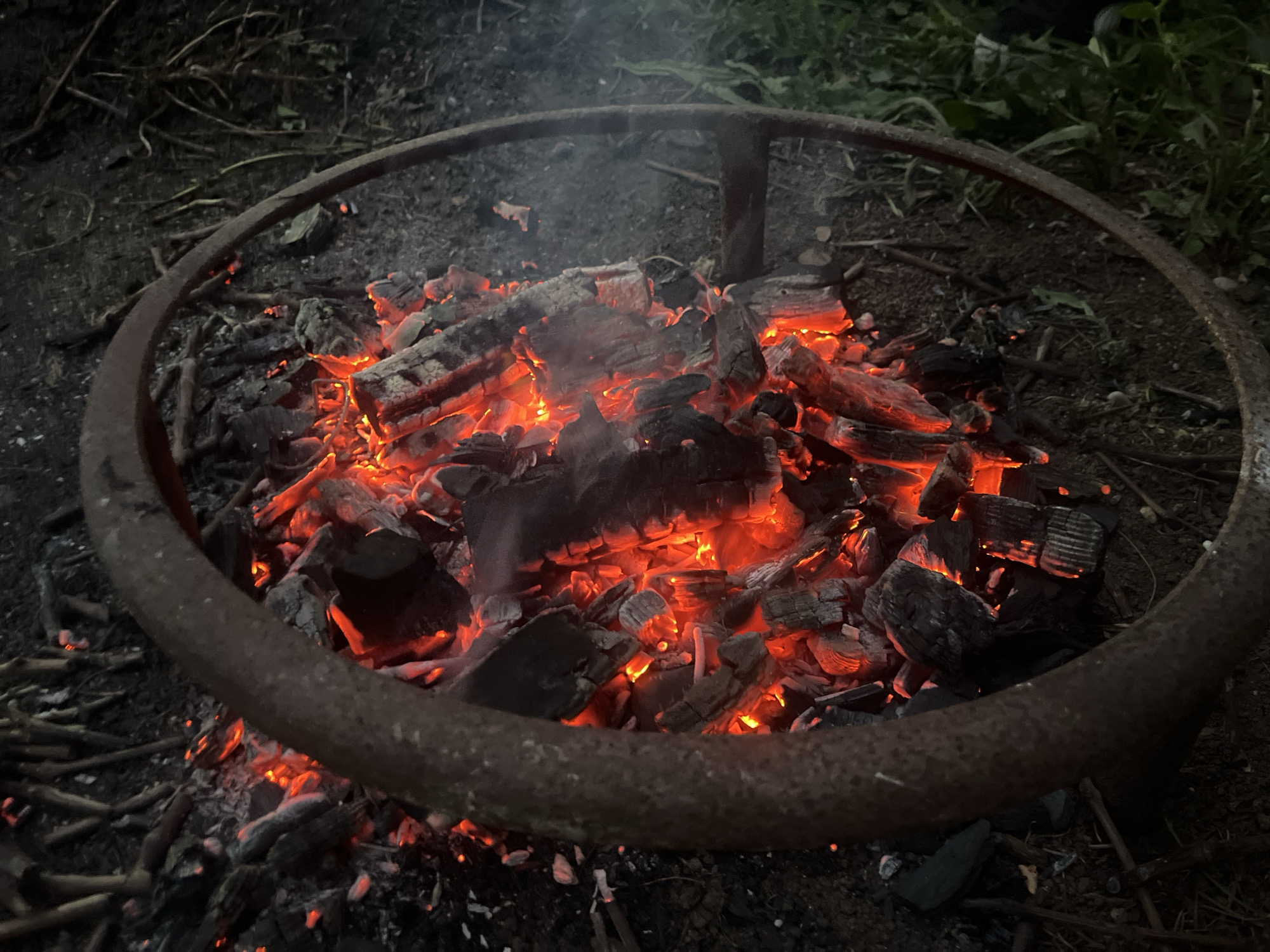 A close-up, eye-level shot captures the glowing embers of a campfire within a rusty metal fire pit. The fire pit is circular, with a thick, weathered metal ring forming its boundary. Inside the ring, a dense pile of charred wood and bright orange coals emits a warm, intense light, with wisps of smoke rising into the dim surroundings. The ground around the fire pit is covered with dark soil, scattered twigs, and ash. In the background, out of focus, is dark green foliage, suggesting an outdoor setting, possibly a park or wooded area. The overall impression is one of residual heat and the dying moments of a fire.