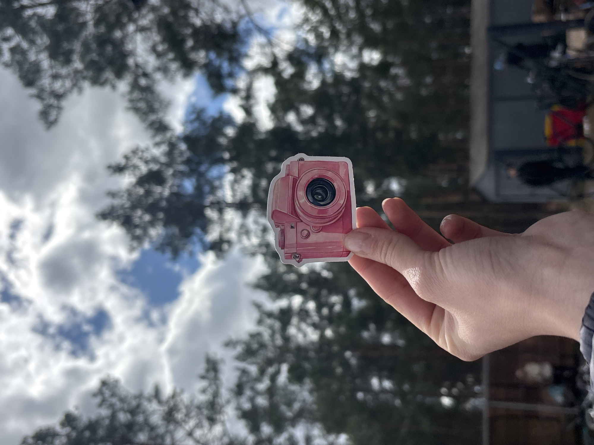 The image, oriented correctly, presents a close-up view of a human hand holding a pink camera-shaped sticker against a blurred outdoor background. The sticker depicts a vintage or retro-style camera, featuring a prominent circular lens, a viewfinder on the top left, and various smaller details like buttons and dials, all rendered in shades of pink.
The hand, which appears to be a right hand, holds the sticker by its lower edge, with fingers and part of the palm visible. A striped sleeve, possibly from a sweater or jacket, is visible on the wrist.
The background is intentionally out of focus, creating a soft, blurry effect. It primarily consists of a cloudy sky with visible patches of blue, indicating daytime conditions with mixed weather. Dark, indistinct foliage, likely from evergreen trees such as pines, dominates the tree line against the sky. To the far right, a dark, ambiguous structure, possibly a building or fence, is also present.
The activity portrayed suggests a playful or artistic interaction, with the camera sticker being "held up" to frame or capture the natural outdoor scene. No discernible text is visible on the sticker or in the background. The scene depicts a natural outdoor environment, consistent with the provided location context of Orenburg, Russia.