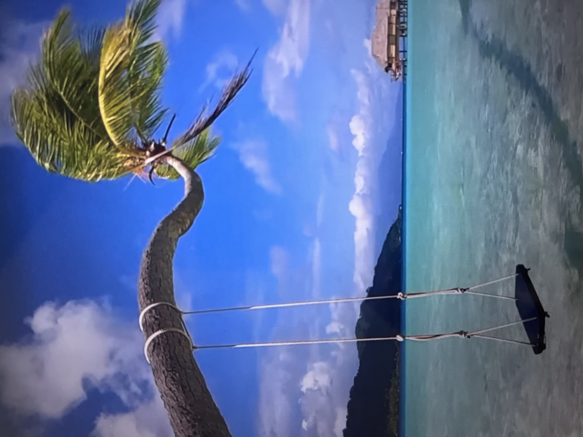 A framed, eye-level, long shot captures a picturesque tropical scene. A curved, thick palm tree branch, the texture of bark visible, arcs across the top left of the frame, its fronds lush and green, blown to the right by a strong wind. Two white ropes, tied to the branch with visible knots, suspend a black rectangular swing seat over crystal-clear turquoise water. In the distance, a thatched-roof bungalow with wooden stilts is built over the water. A dark, mountainous island covered in foliage is visible in the background, beneath a bright blue sky dotted with white, fluffy clouds. The scene depicts a tranquil, idyllic vacation setting.