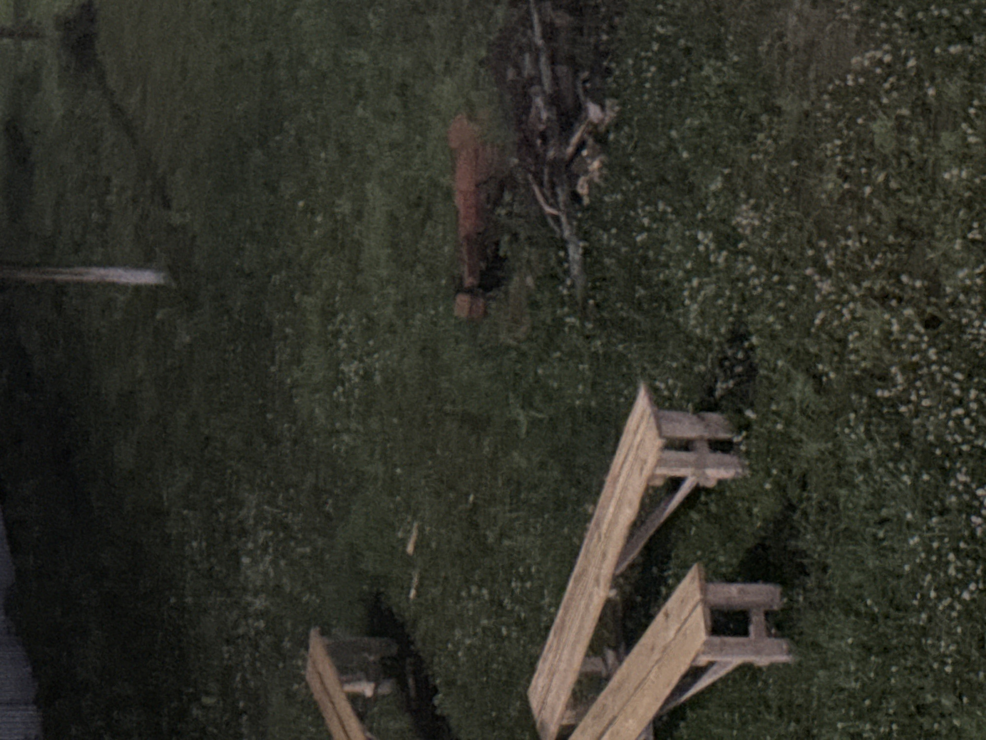 The image depicts an outdoor scene with a grassy area dotted with small white flowers. Two wooden benches are visible, one in the foreground and another further back. In the background, a fire pit with visible wood is present, and to the left, a fence or wall runs along the edge of the property. The overall lighting suggests it is either early morning or late evening. The location is identified as Doma 1096 Km, Russia. There are no people or animals present in the image.
