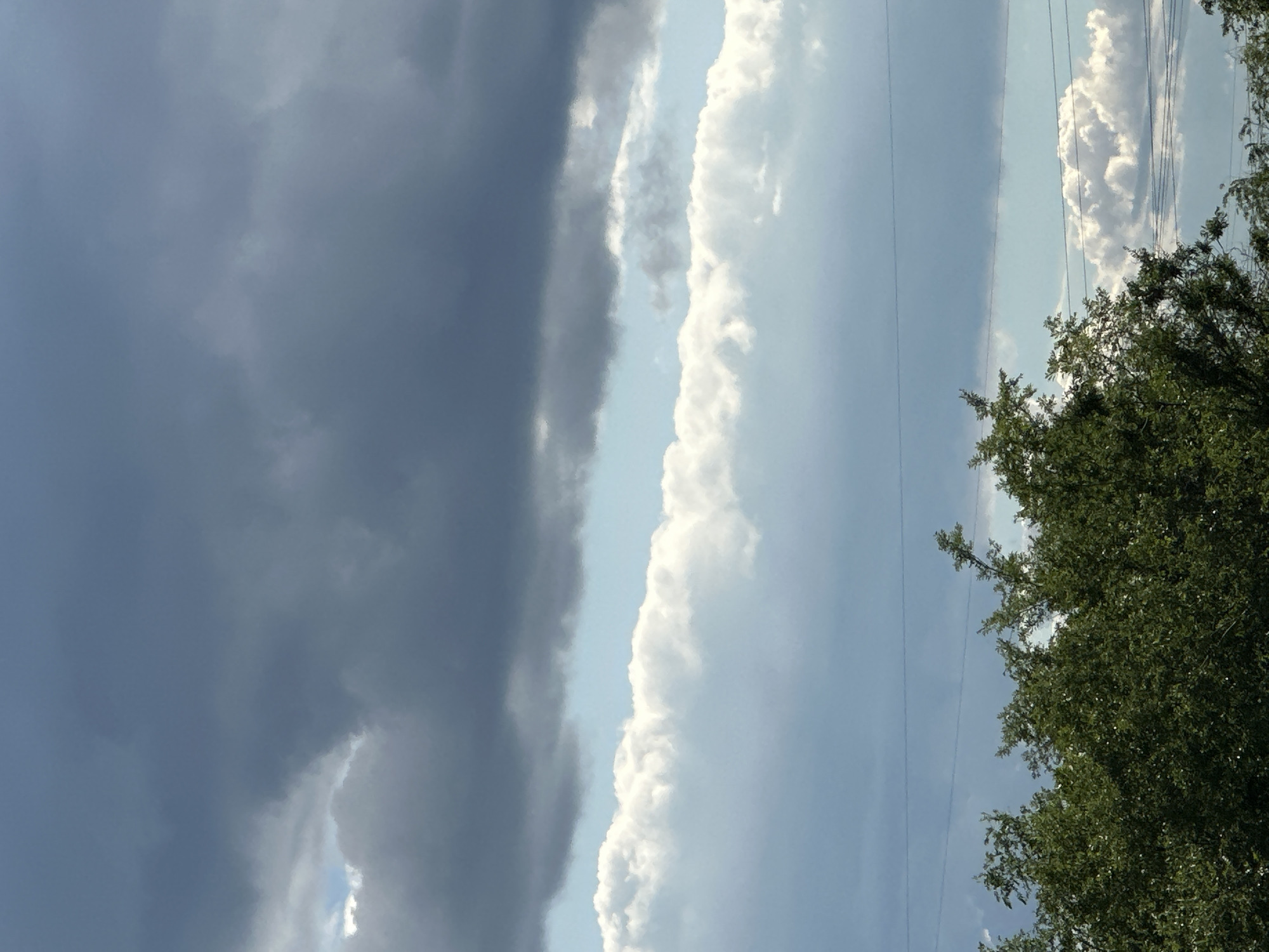 The image depicts a dramatic sky with a clear division between dark, heavy clouds on the left and bright, puffy white clouds on the right, transitioning to a clear blue sky. The dark clouds suggest an approaching storm or a recent rain shower, while the bright clouds indicate clearing weather. A few thin power lines stretch horizontally across the right side of the frame, suggesting an outdoor, possibly rural or suburban, setting. On the far right, the upper branches of a lush green tree are visible, their leaves catching the sunlight. The lighting suggests it is daytime, with the sun likely positioned behind the viewer or to the right, illuminating the white clouds and tree foliage. The overall mood is one of transition, with the juxtaposition of dark and light clouds creating a sense of natural drama. There is no visible text in the image.