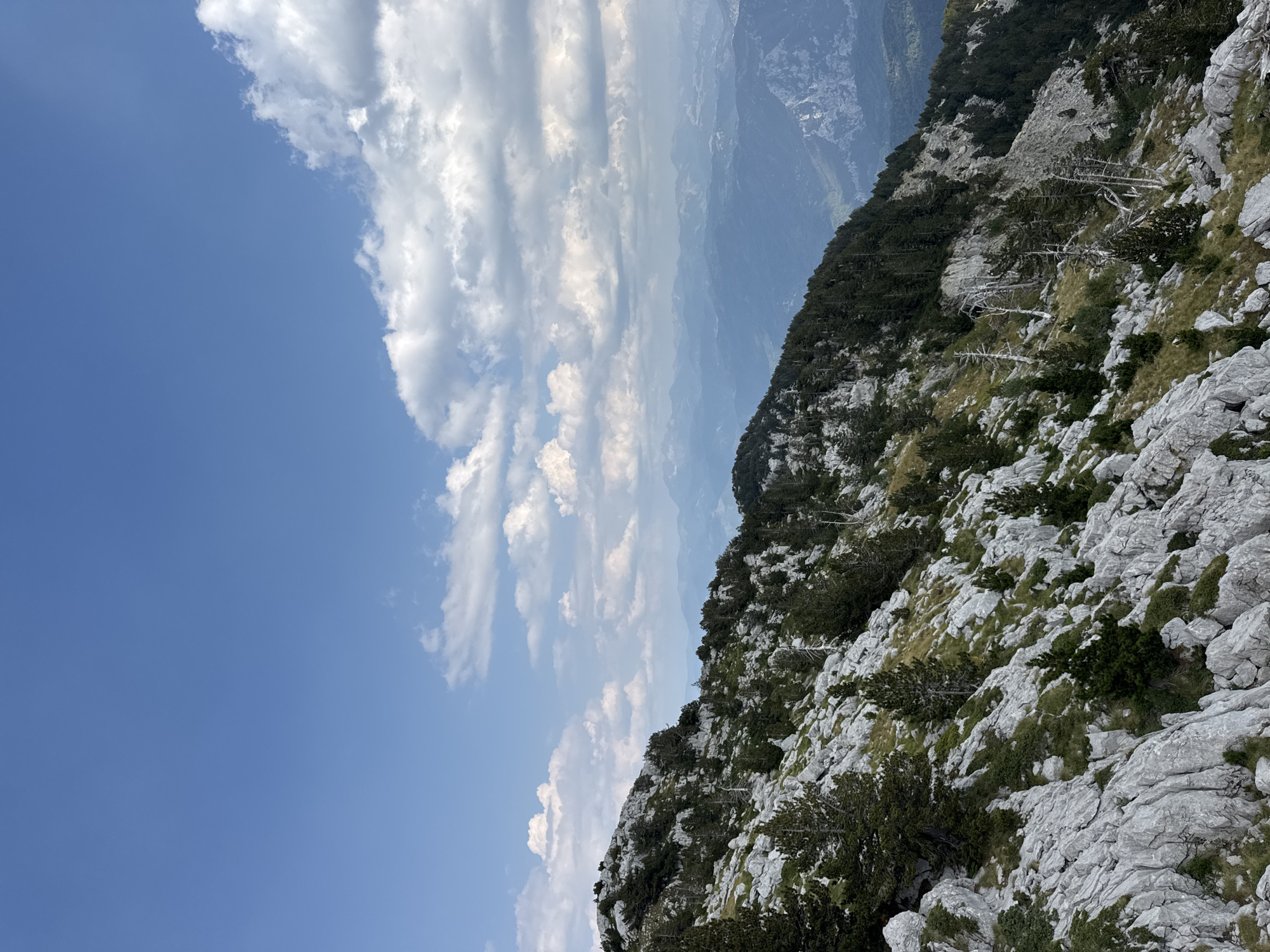 The image captures a mountainous landscape, likely within the vicinity of Mrtvo Duboko, Montenegro. The foreground is dominated by a rocky, scree-covered slope interspersed with sparse, hardy pine trees. The rocks are weathered and a light grey in color, with patches of green moss and dry grass growing between them. Several dead, bare trees with a bleached appearance are also scattered on the slope, adding a stark contrast to the living vegetation.
Further up the slope, a dense forest of dark green pine trees covers the terrain. The trees are tightly packed, creating a darker, more rugged texture against the lighter rock.
In the background, a series of layered mountain ranges recede into the distance, fading from a dark blue-green to a hazy, lighter blue, indicating atmospheric perspective. The sky above is a bright, clear blue, dotted with scattered, fluffy white cumulus clouds. The overall impression is one of a rugged, wild, and remote mountain environment under a bright, partly cloudy sky. There are no people or animals visible in the scene.