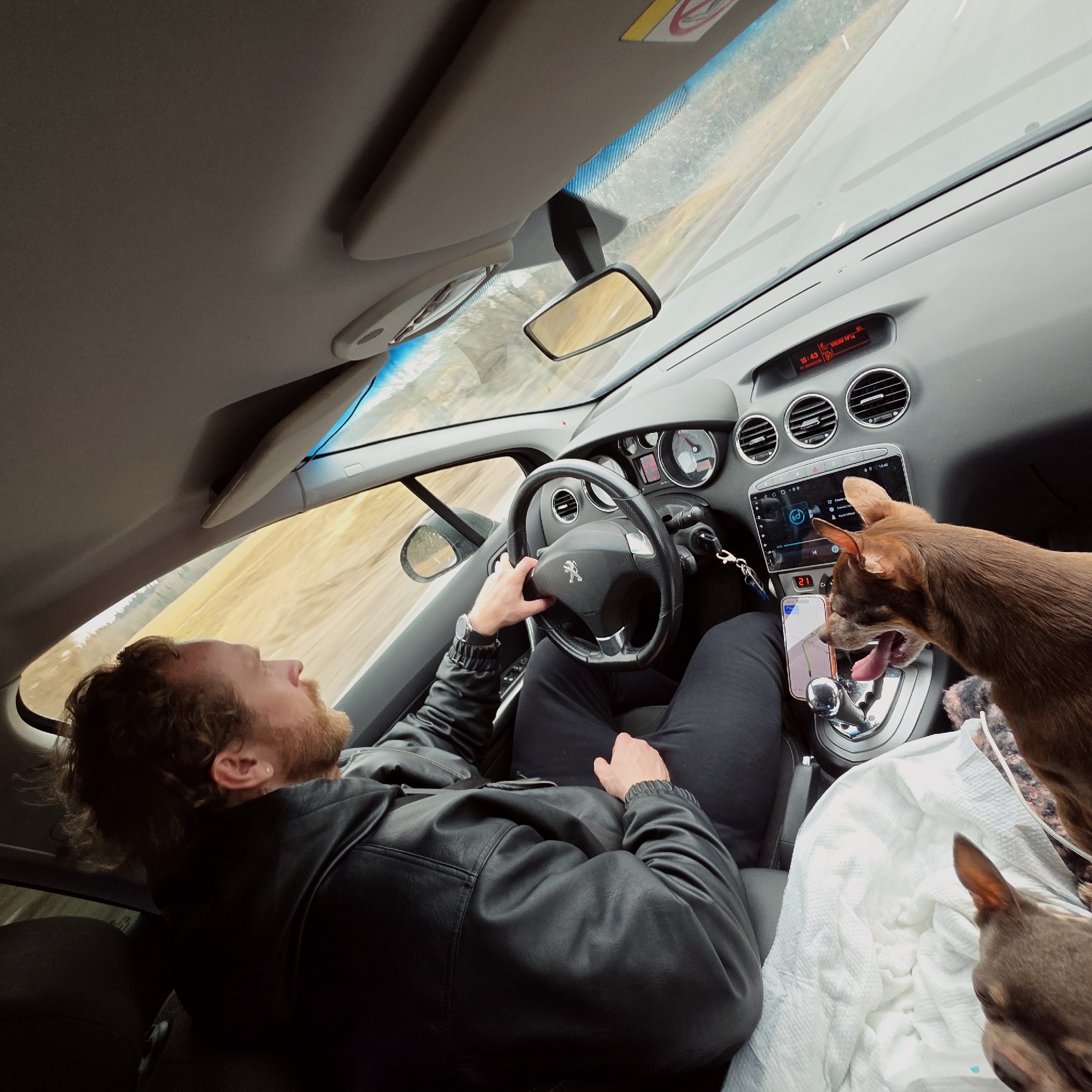 A man is driving a Peugeot in Gubanitsi, Russia. He is wearing a black leather jacket and a watch on his left wrist. There are two small brown dogs in the passenger seat, on top of a white blanket. The car's GPS displays a map with a route. The road outside the car is a dirt track. The dashboard indicates the time is 15:43.