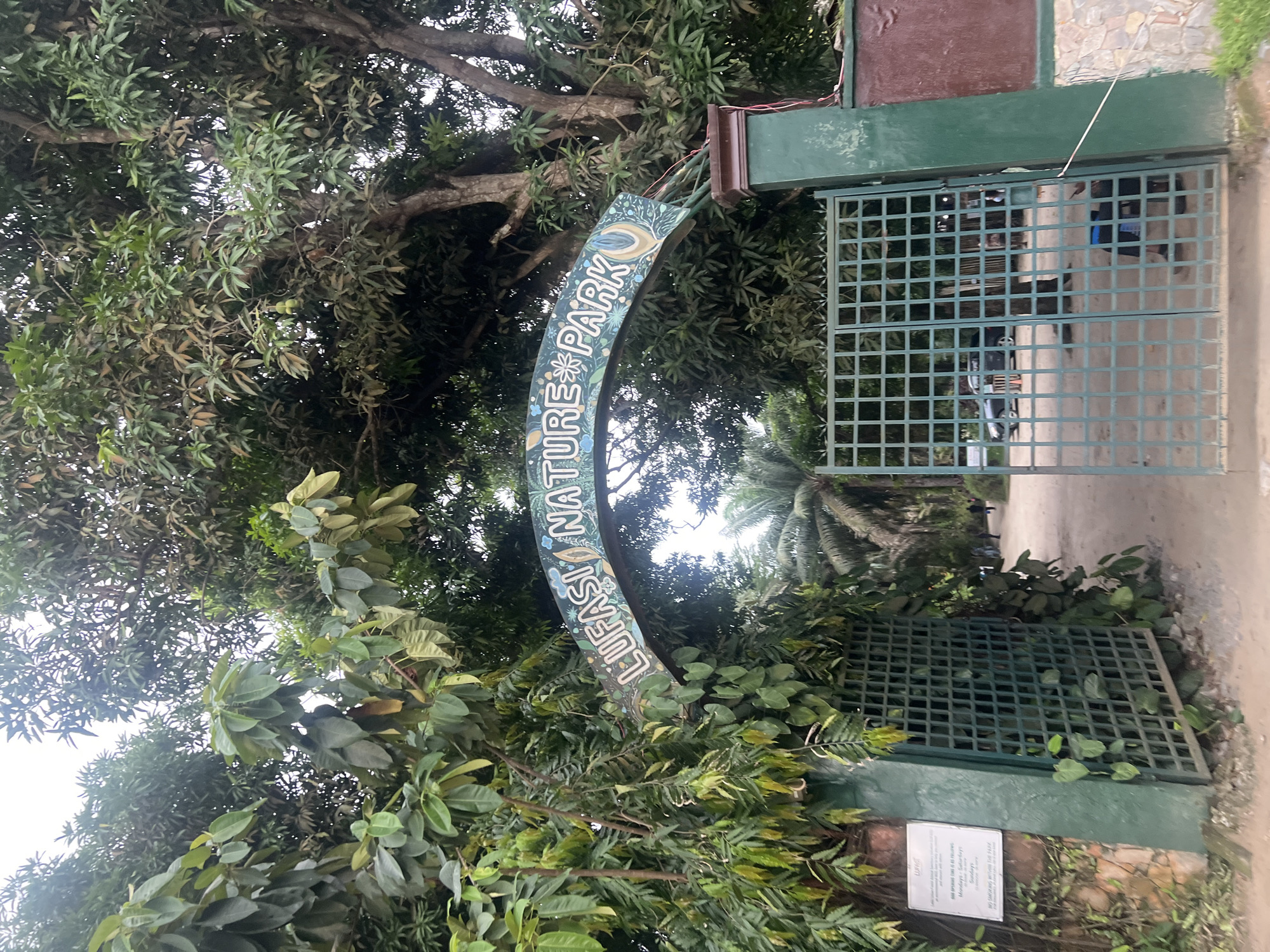 The image depicts the entrance to the Lufasi Nature Park, located in Lekki, Nigeria. The entrance features a curved sign arching over a green metal gate. Lush foliage and trees surround the entrance, partially obscuring the sign and gate. A glimpse of the interior of the park can be seen through the gate, revealing a pathway and palm trees. The sign reads "LUFASI NATURE PARK" in a decorative font with nature-themed illustrations. A small sign with text, likely detailing park hours or rules, is visible on the lower right side of the entrance.