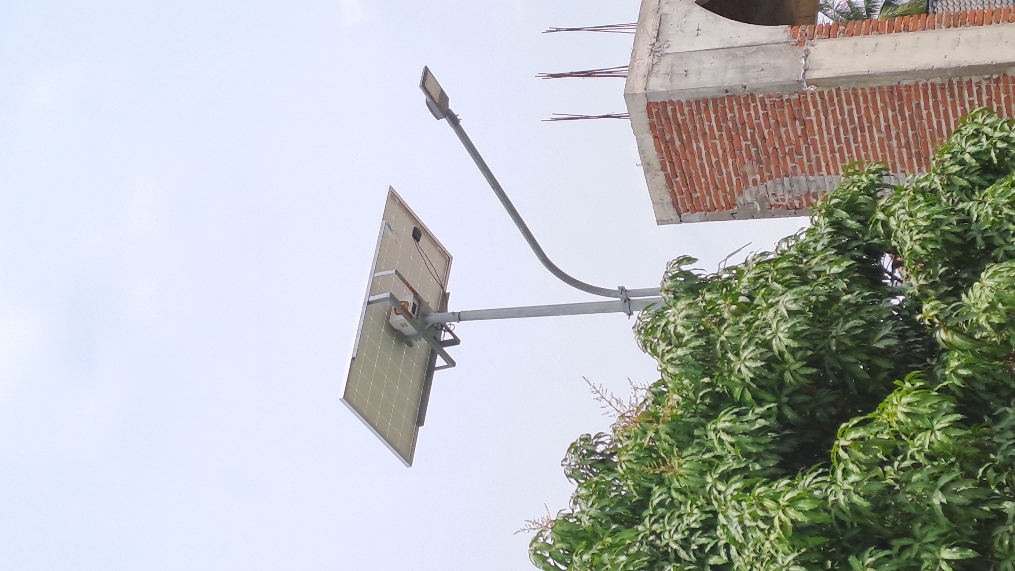 A solar-powered street light stands tall against a pale sky, its panel angled upwards to capture sunlight. A curved metal arm extends from the main pole, supporting a modern LED street lamp. To the left, a lush green tree with dense foliage partially obscures the view. To the right, the corner of a brick building under construction is visible, with concrete framing and exposed rebar. The scene appears to be an outdoor environment, possibly in a semi-urban or developing area.