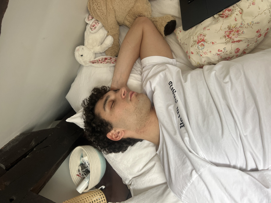 A man with curly hair is asleep in a bed. He wears a white t-shirt with text printed on the arm. A floral pillow and a laptop are on the bed near his head. A teddy bear and a white rabbit plush toy rest on a pillow near his head. Beside the bed, there is a woven basket containing items, and part of a wooden beam is visible.
