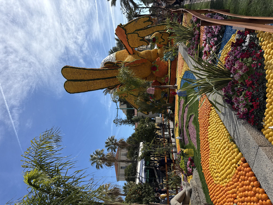 The image displays an elaborate outdoor exhibition of citrus fruit sculptures and ground mosaics, located in Menton, France. A large, prominent sculpture resembling a yellow and orange mythological bird or phoenix, constructed from numerous lemons and oranges, stands centrally on the right, featuring prominent wings and a lighter-colored head/chest section.
Surrounding this main sculpture are extensive ground-level displays comprising rows of yellow lemons and orange citrus fruits arranged in gradients and geometric patterns. These are interspersed with sections of green grass, patches of vivid pink and purple flowering plants (e.g., cyclamen), and areas filled with blue decorative stones or gravel. Small decorative elements, including pink and blue birdcages with miniature figures, are positioned within these ground displays.
In the mid-ground on the left, several individuals are observed standing behind a barrier, viewing the exhibition. A large white bus or coach is visible on a street beyond this crowd. A partial view of a stone statue, depicting a reclining figure, is present in the lower-left foreground.
The environment includes numerous tall palm trees, framing the scene on the left and scattered throughout the background. Residential or urban buildings with light-colored facades and terracotta roofs are visible in the distance. The sky is clear blue with wispy white contrails. A simple wooden fence or railing delineates the exhibition area on the right side. The scene is brightly lit by natural sunlight.