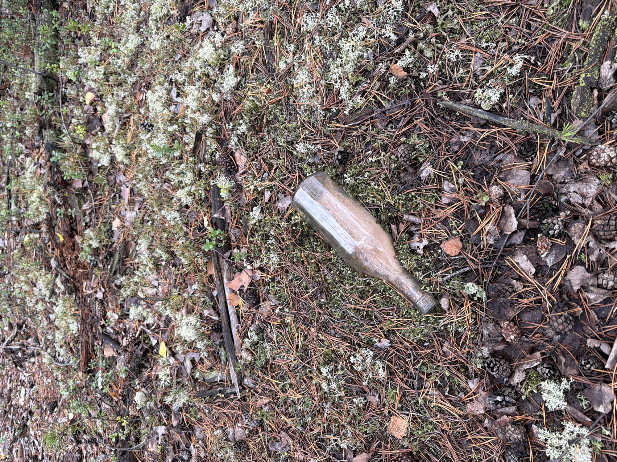 The image depicts a forest floor covered with pine needles, fallen leaves, pinecones, and patches of lichen. A single glass bottle lies on its side amidst the forest debris. The scene appears to be a natural environment, likely a wooded area. No people or actions are visible in the image. The location is identified as Zheleznodorozhnik, Russia.
