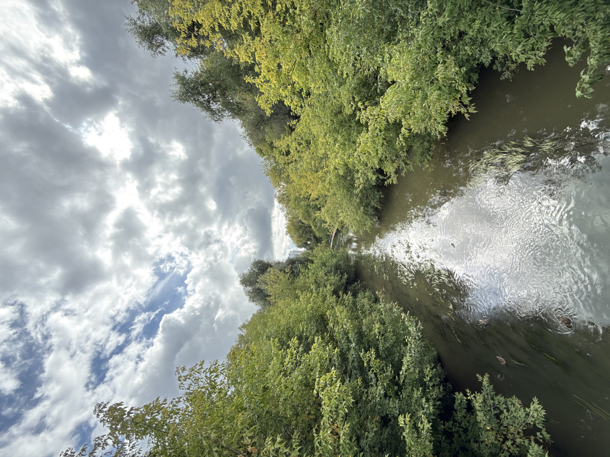 The image shows a view from a bridge overlooking a narrow river bordered by lush green trees. The sky above is filled with dramatic clouds, with patches of blue sky peeking through. The water reflects the sky and the surrounding foliage. Two ducks are visible swimming in the river. In the distance, a tall building can be seen, suggesting an urban or suburban setting. Based on the presence of the Krylatskoye cycling track and the characteristic architecture of the surrounding buildings, this scene is likely located in Krylatskoye, Moscow, Russia.