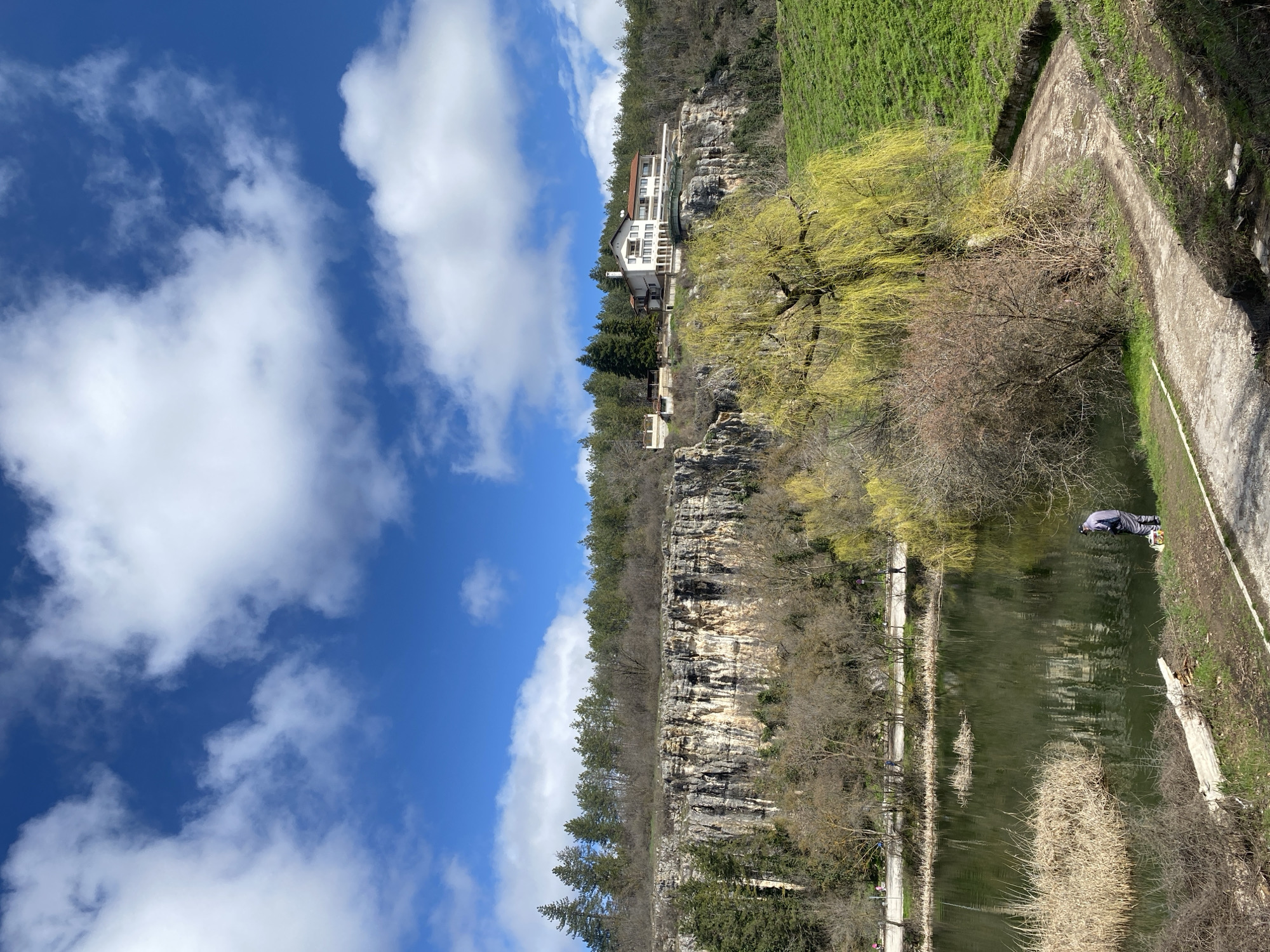 The image displays a daytime scene within Kaylaka Park, Pleven, Bulgaria. The sky occupies the upper third, showing a vibrant blue with scattered, fluffy white cumulus clouds. Below, a prominent, rugged limestone cliff extends horizontally across the mid-ground, topped by a dense forest primarily composed of coniferous trees. Perched on the cliff's edge, partially surrounded by trees, is a large, multi-story building with white walls and a reddish-brown tiled roof, featuring numerous windows and balconies. A green-painted structure, possibly a bridge or viewing platform, extends from the building over the cliff face.
In the lower portion of the image, a calm, dark green body of water, likely a river or lake section, occupies the left and central foreground. Patches of dried reeds are visible along its edges, and faint reflections are present on its surface. On the grassy bank in the lower-left, a single individual, dressed in a light-colored hooded jacket and dark trousers, stands facing the water, holding what appears to be a fishing rod. A white cooler or container rests on the grass beside them. To the right of this individual, a large weeping willow tree with bright green, newly sprouted leaves stands prominently next to the water. A smaller, bare deciduous bush is also present.
On the far bank across the water, a paved walkway runs parallel to the water's edge, with several indistinct human figures visible walking along it. A dirt path, appearing damp in sections, curves upwards from the foreground on the right, alongside a steep slope covered in vibrant green grass. A fallen log lies on the bank in the immediate foreground, near the water.