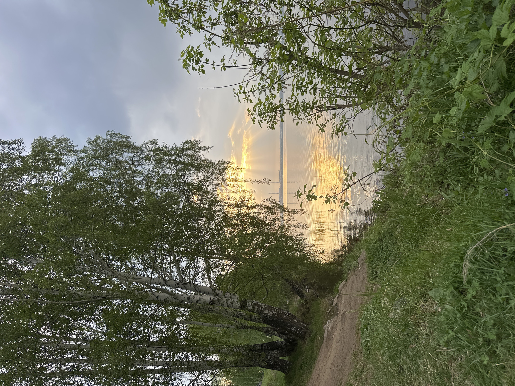 The image depicts a landscape scene, likely taken near a body of water. The location is given as Исеть, Russia. The scene is framed by trees on both sides. Birch trees, characterized by their white bark, line the left side of the image, while a variety of green foliage is present on the right. A dirt path runs along the right edge of the frame. The water reflects a bright, sunlit sky, with light reflecting across the surface. In the distance, indistinct structures are visible on the horizon, obscured by the bright light. The sky above is overcast, with a mix of light and dark clouds.