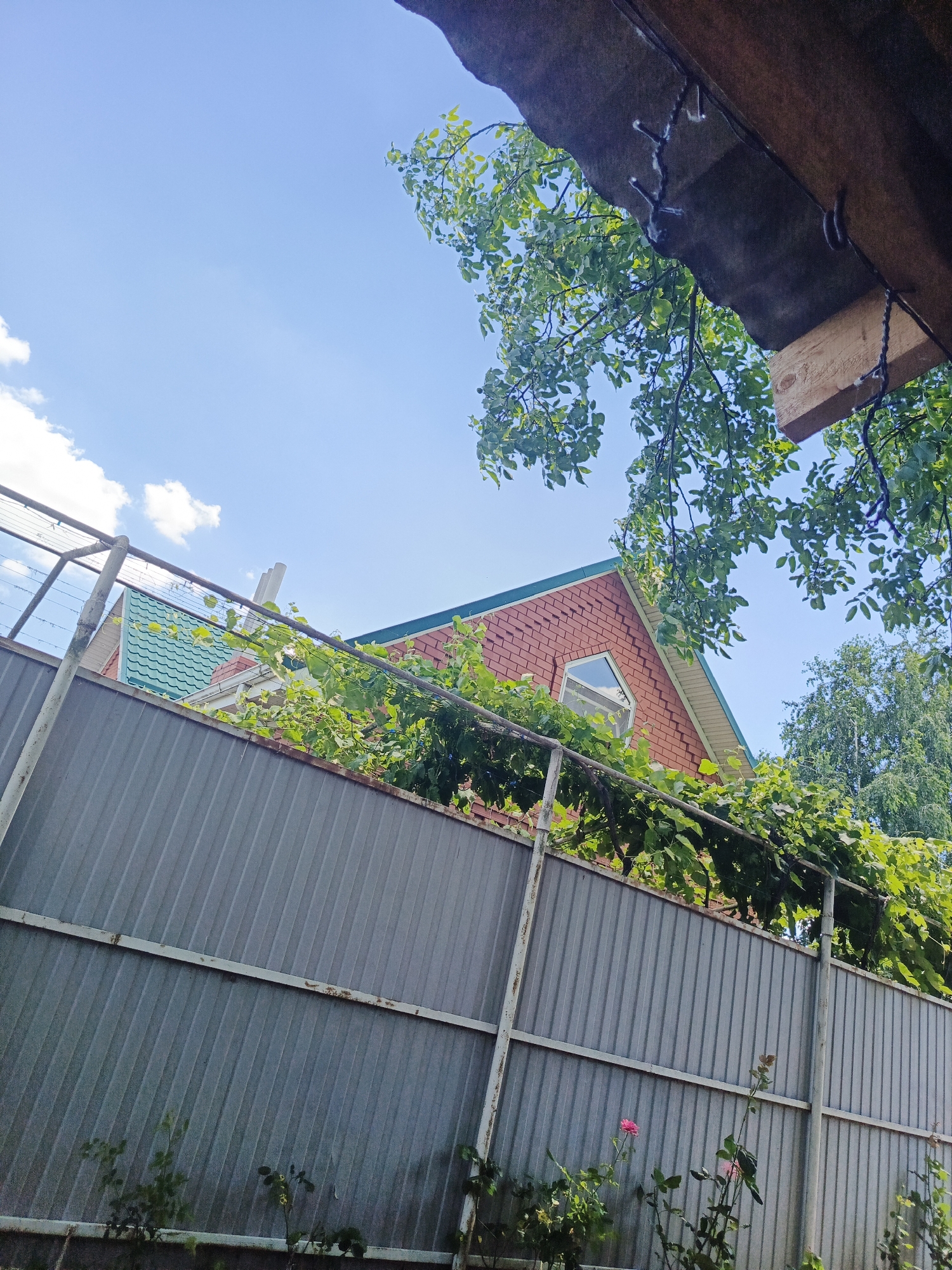 The image shows a view of the sky and a house in Staronizhestebliyevskaya, Russia. The sky is blue with a few white clouds. A red brick house with a green roof is visible behind a metal fence. Trees and foliage are present, with some branches extending into the foreground. The scene appears to be a residential area.