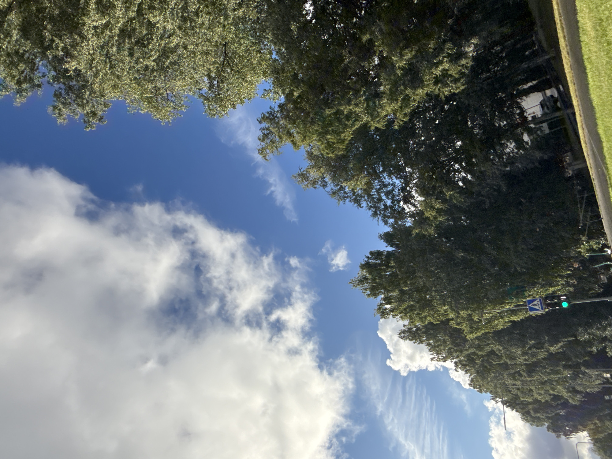 The image shows a view looking up towards a blue sky with white clouds, bordered by lush green trees on the right side. The perspective is from ground level, tilted upwards. The trees are dense and form a canopy, with some sunlight filtering through their leaves, creating dappled light. On the far right, a strip of mowed green grass is visible next to a paved surface, suggesting a park or roadside area.
A traffic light with a green signal is visible among the trees, indicating an intersection or street. Below the traffic light, a blue sign with a white symbol, possibly a road sign, is also present. The overall scene suggests an outdoor setting, likely during the daytime given the bright sky and sunlight. The weather appears to be pleasant, with a mix of sun and clouds.
The image is oriented vertically, with the top of the frame showing more of the sky and clouds, while the bottom is dominated by the trees and the street-level elements. The vibrant green of the foliage and the bright blue of the sky suggest a summery or late spring day. There are no people clearly visible in the frame, but the presence of the traffic signal implies a populated or urbanized area. The scene evokes a sense of calm and natural beauty combined with the presence of urban infrastructure. The location is identified as Tallinn, Estonia.
