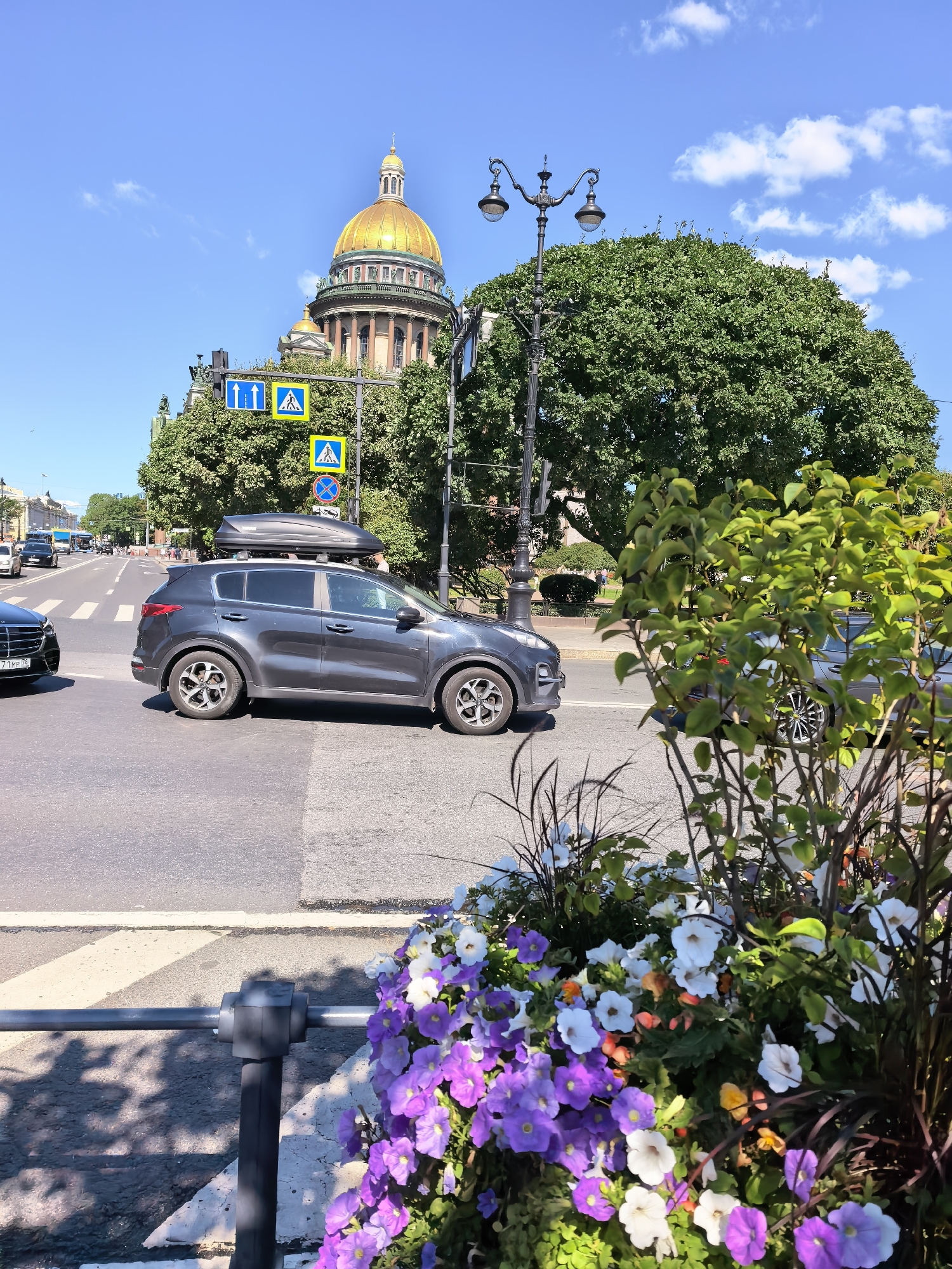 The image depicts a street scene in Saint Petersburg, Russia, with Saint Isaac's Cathedral prominently featured in the background. The cathedral's iconic golden dome is visible against a clear blue sky dotted with white clouds. In the mid-ground, a dark gray SUV with a roof cargo carrier is parked on the street, positioned on the right side of the frame. Traffic signs, including pedestrian crossing and directional arrows, are mounted on poles behind the vehicle. A large, lush green tree provides a backdrop to the right of the cathedral. In the foreground, a planter filled with vibrant purple and white petunias and other greenery occupies the lower right portion of the image. Several cars are visible on the road, including a black sedan in the left foreground. The street appears to be a busy intersection with pedestrian crossings marked. The overall impression is a sunny day in an urban environment.